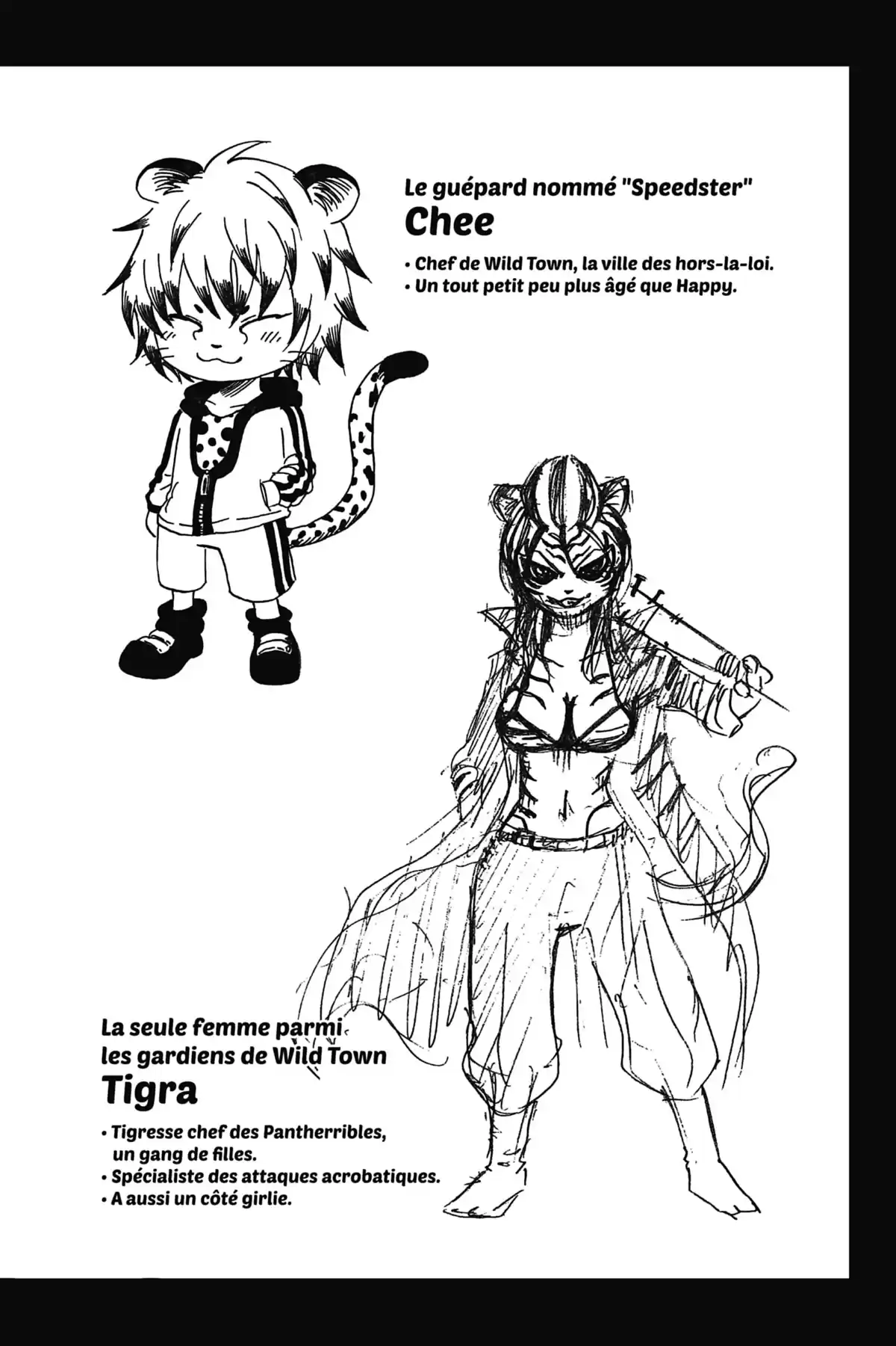 Fairy Tail – La grande aventure de Happy Volume 3 page 79