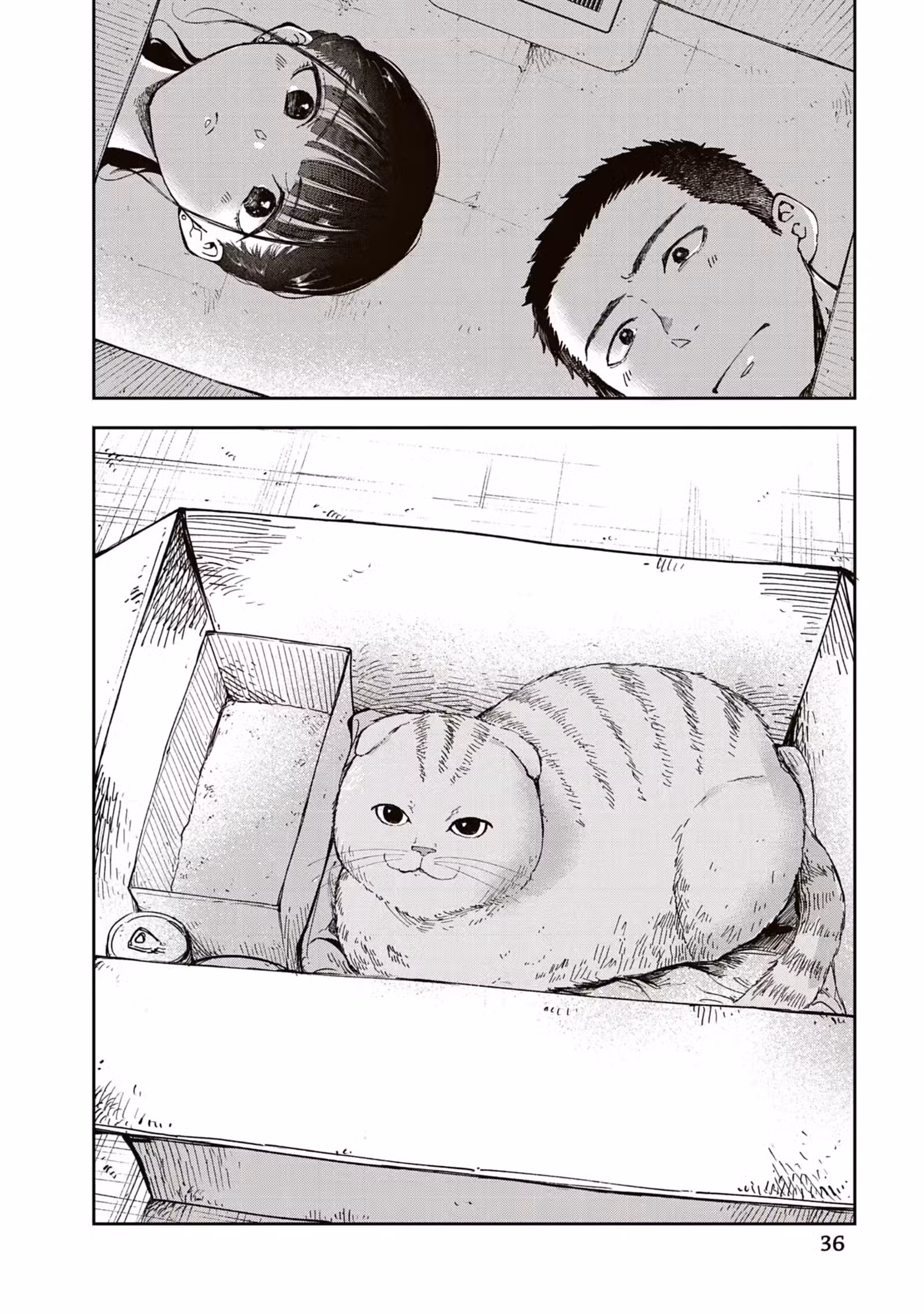 Dans le premier train du matin Volume 2 page 37