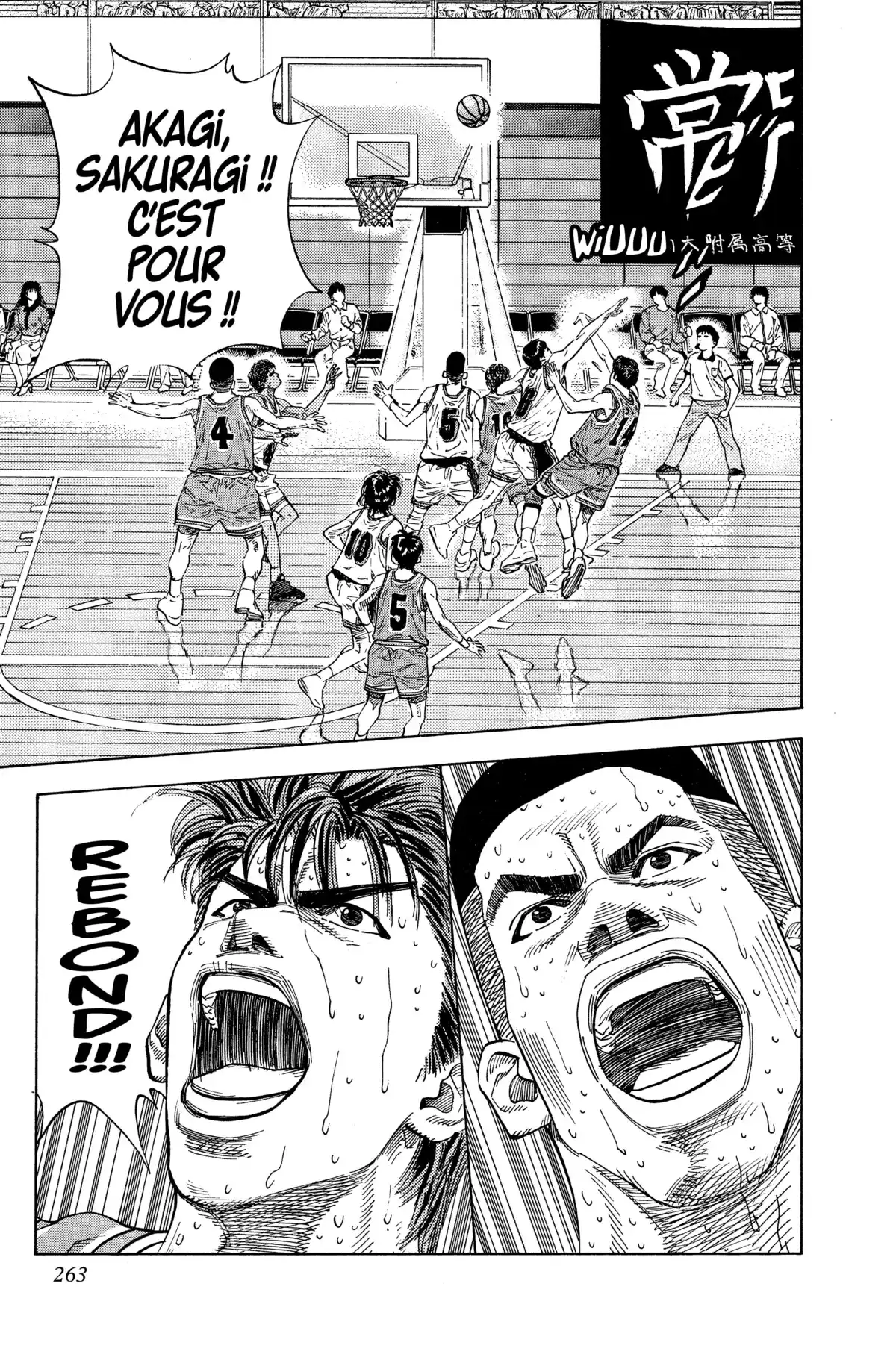 Slam Dunk – Star Edition Volume 9 page 252