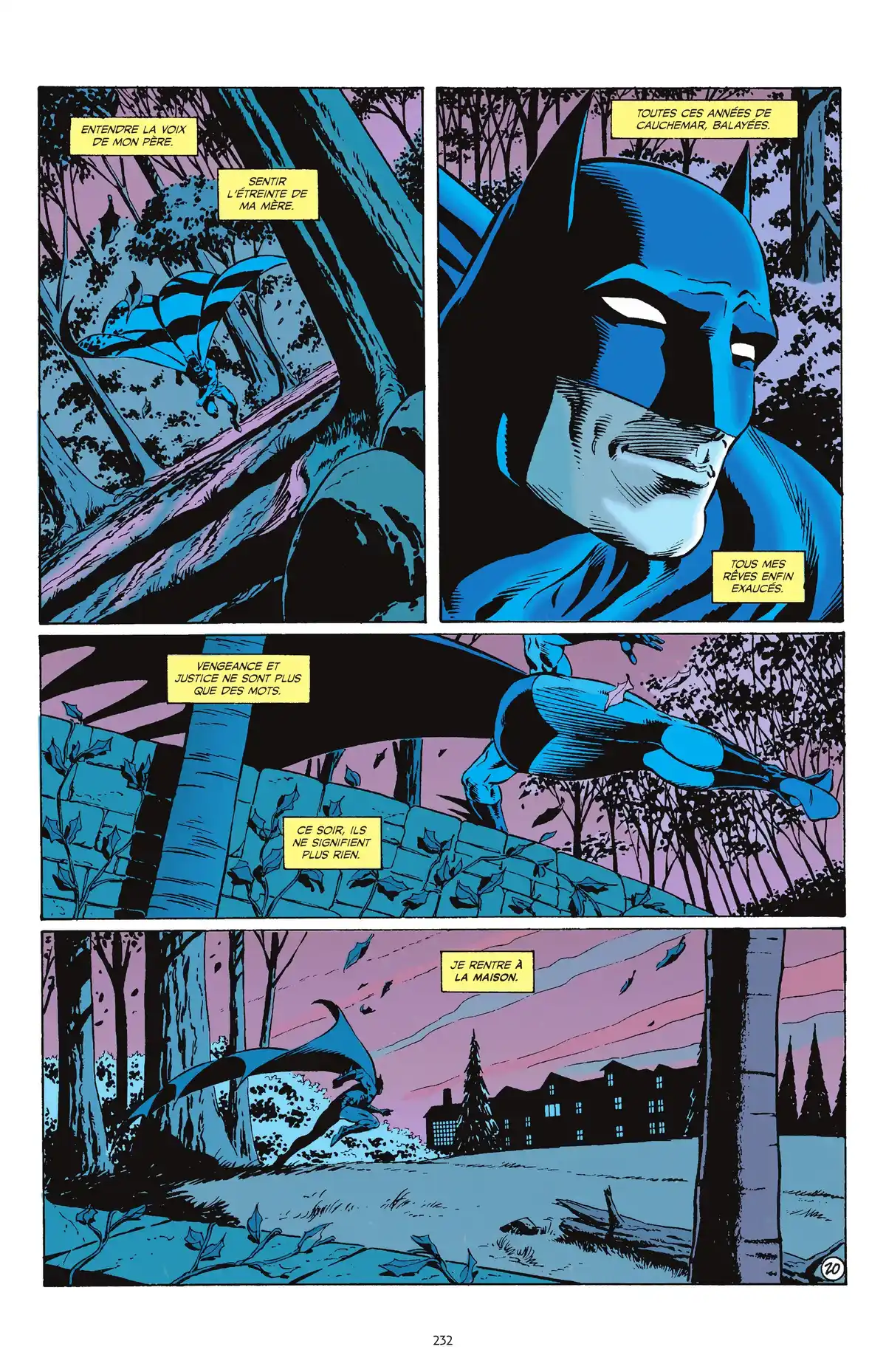 Batman : Mythology Volume 3 page 227