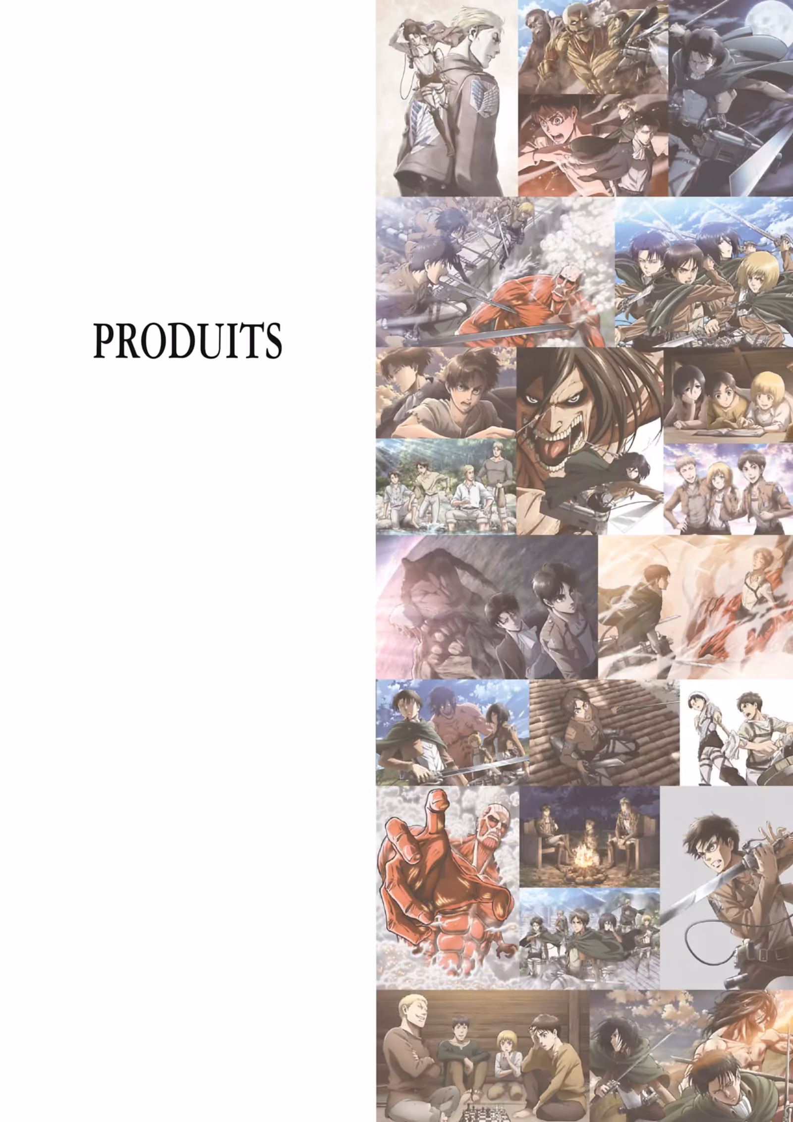 L’Attaque des Titans : Anime Illustrations Volume 1 page 41