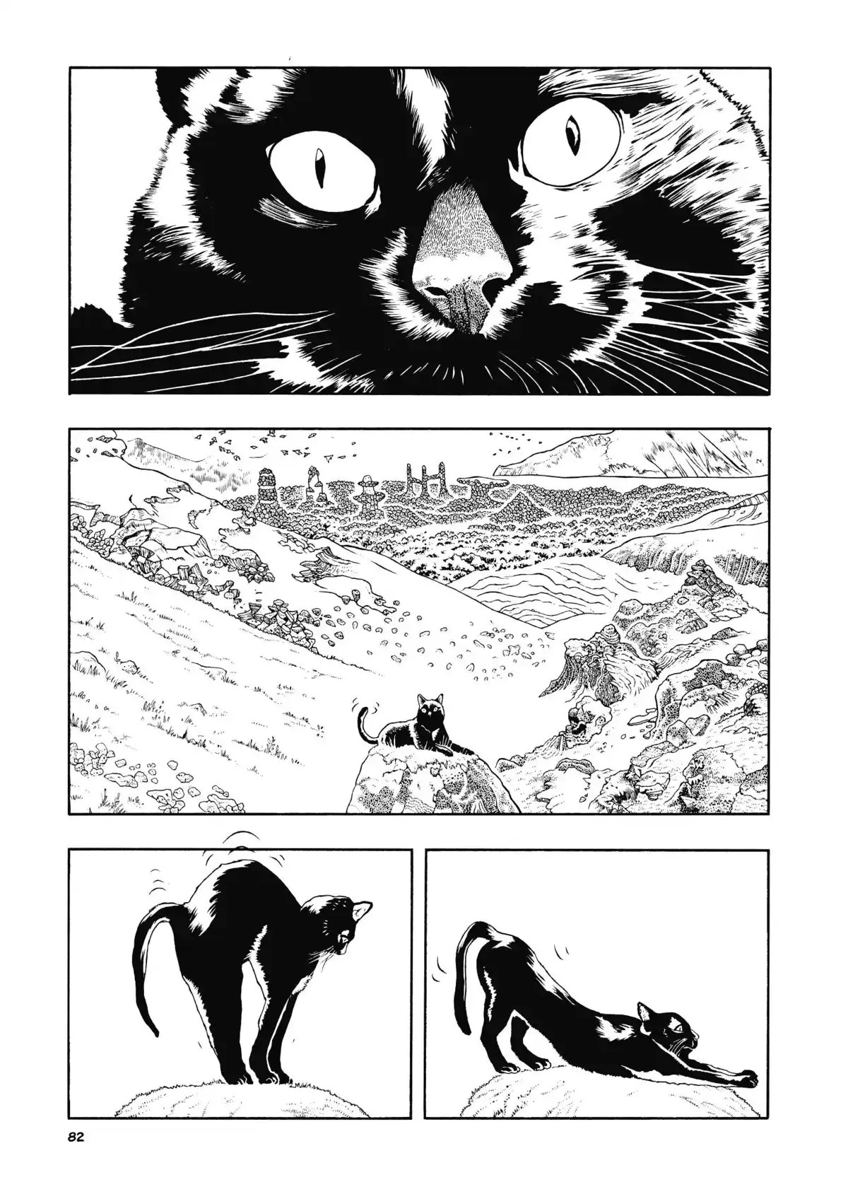 Animus Volume 1 page 78