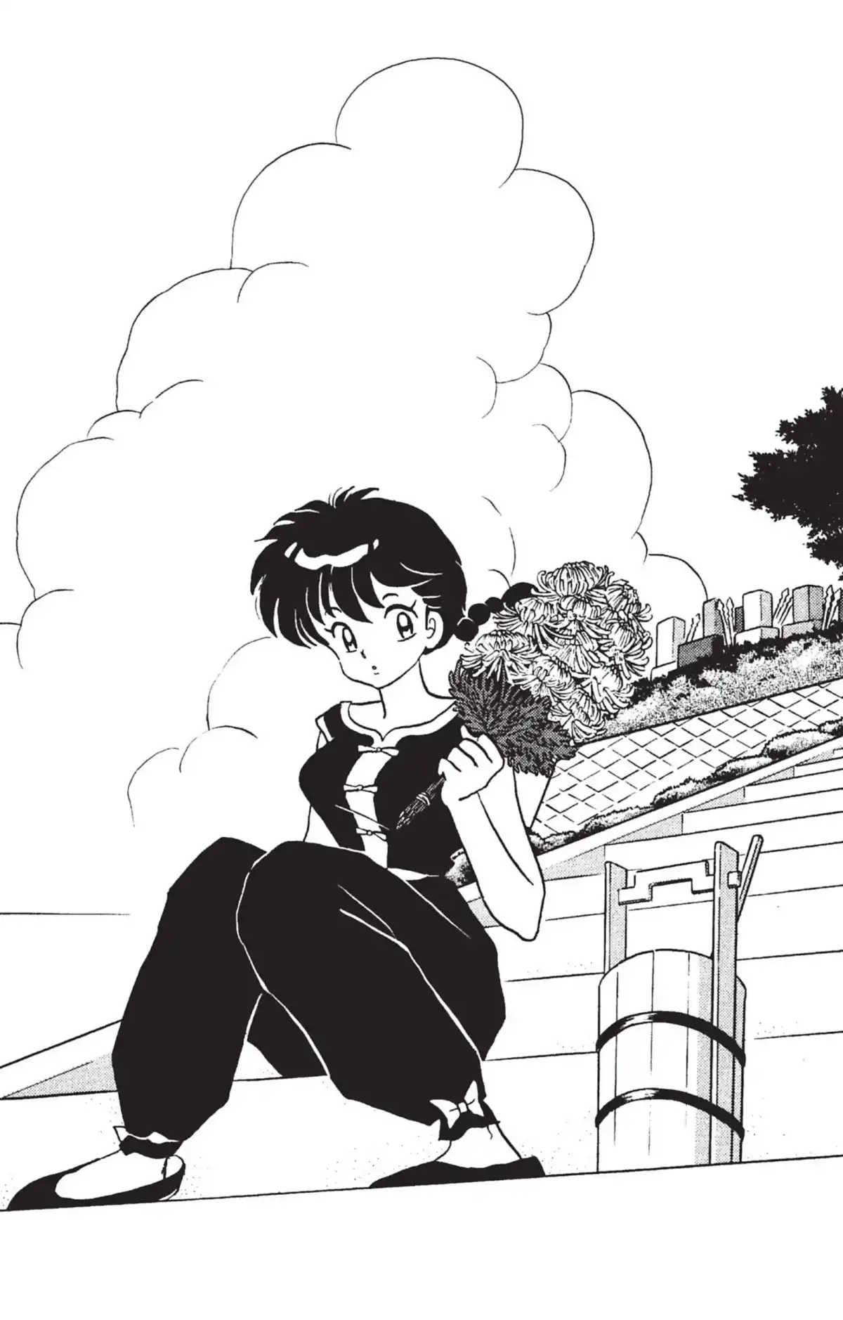 Ranma ½ Volume 36 page 35