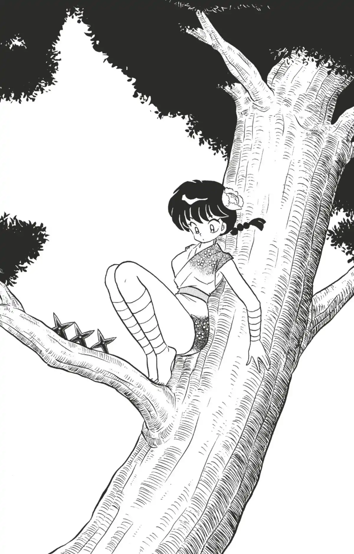 Ranma ½ Volume 35 page 100