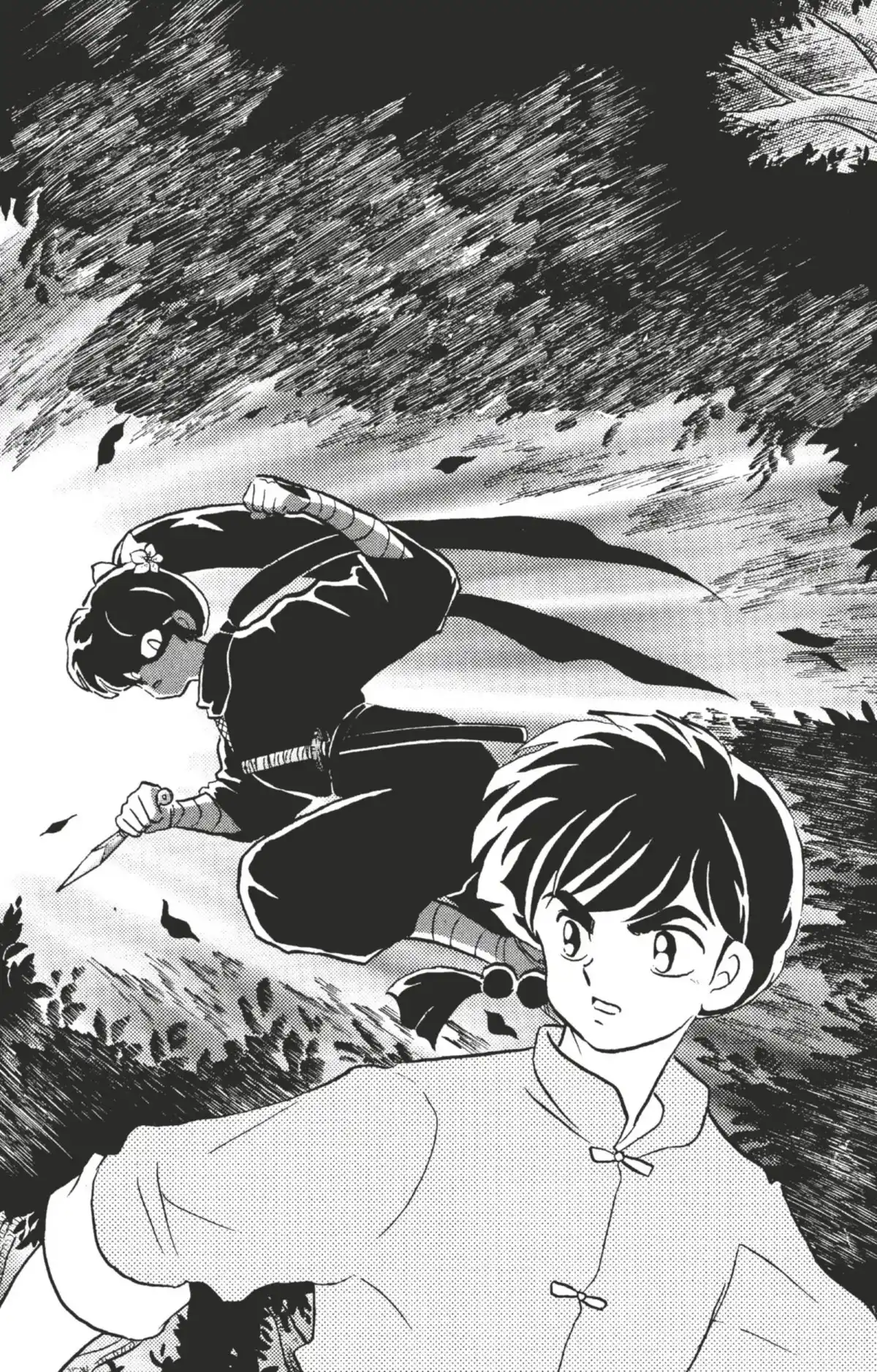 Ranma ½ Volume 35 page 83