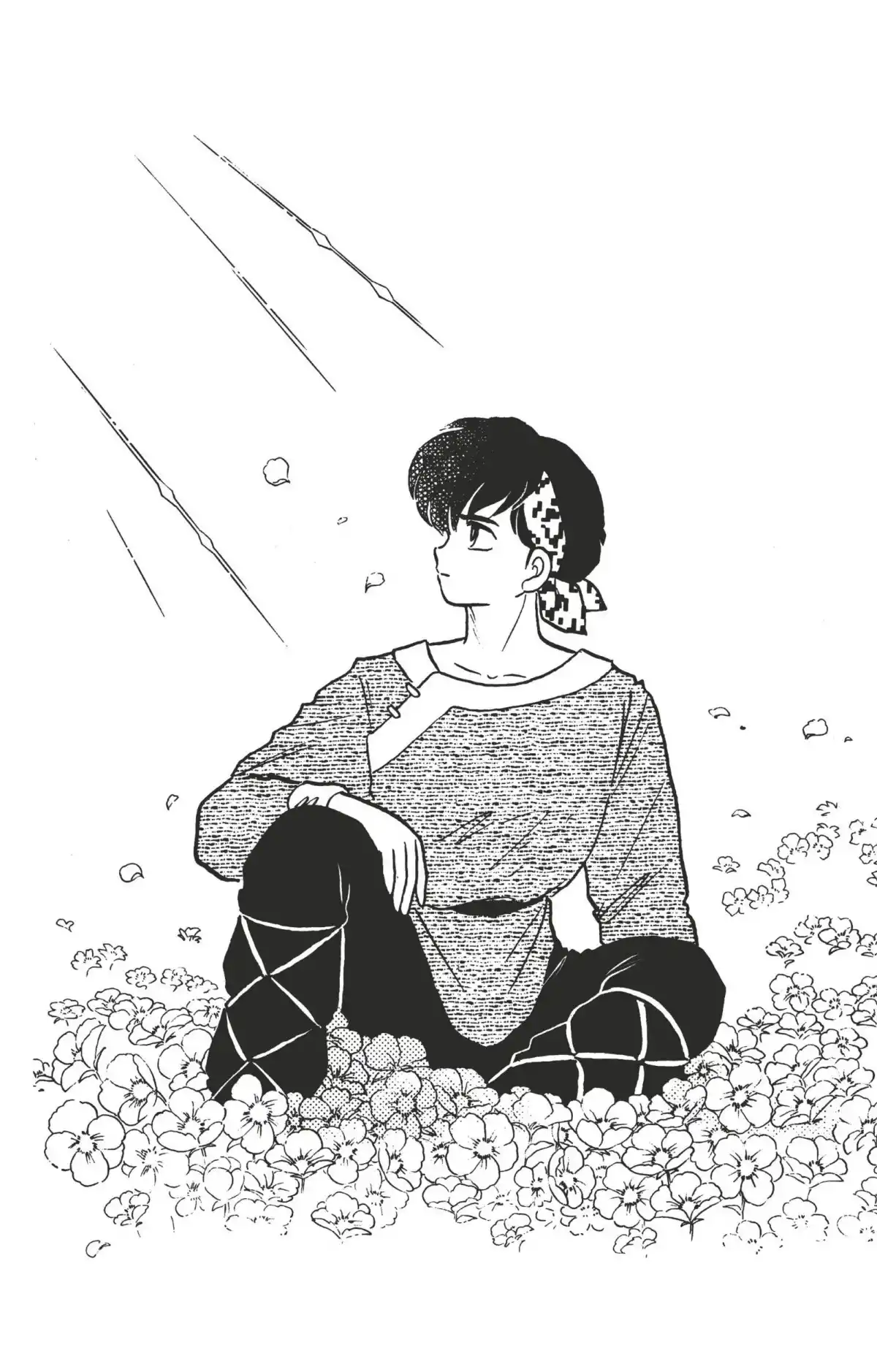 Ranma ½ Volume 30 page 4