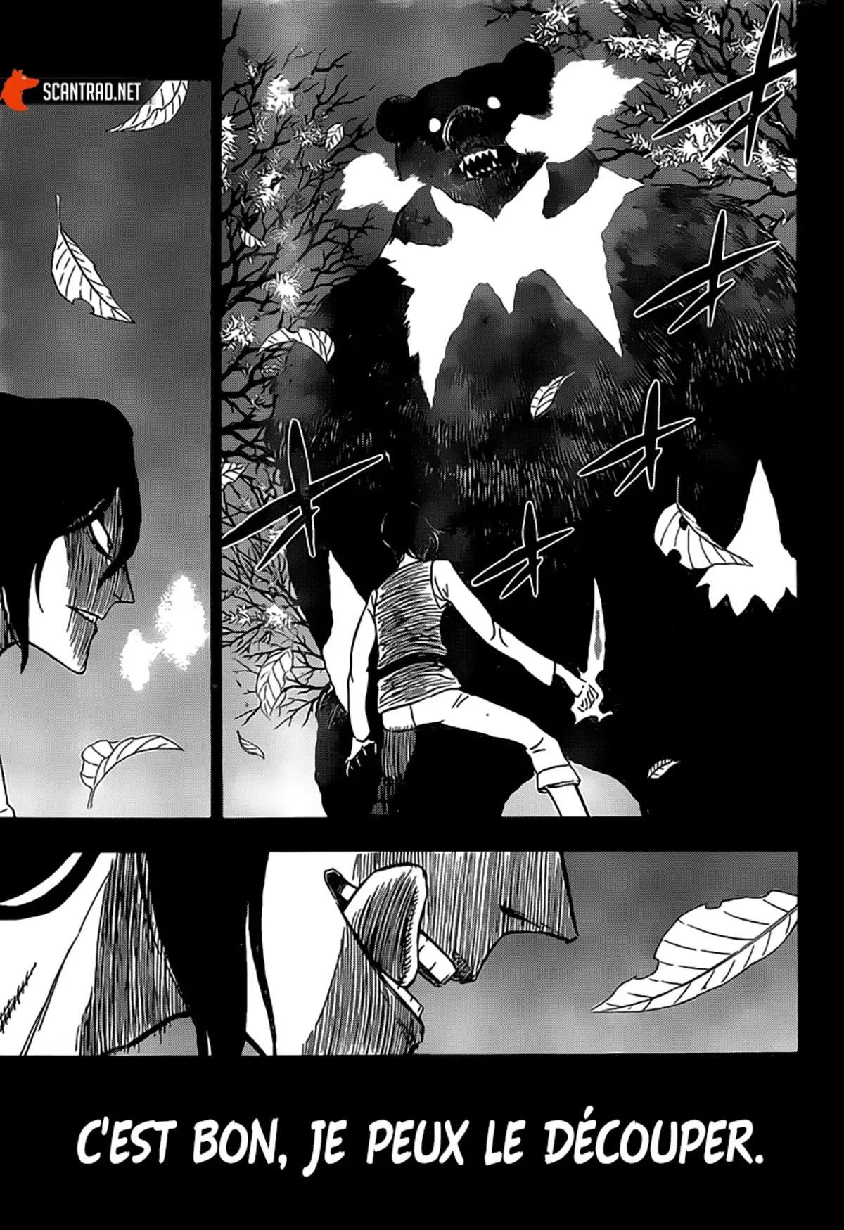 Black Clover Chapitre 278 page 12