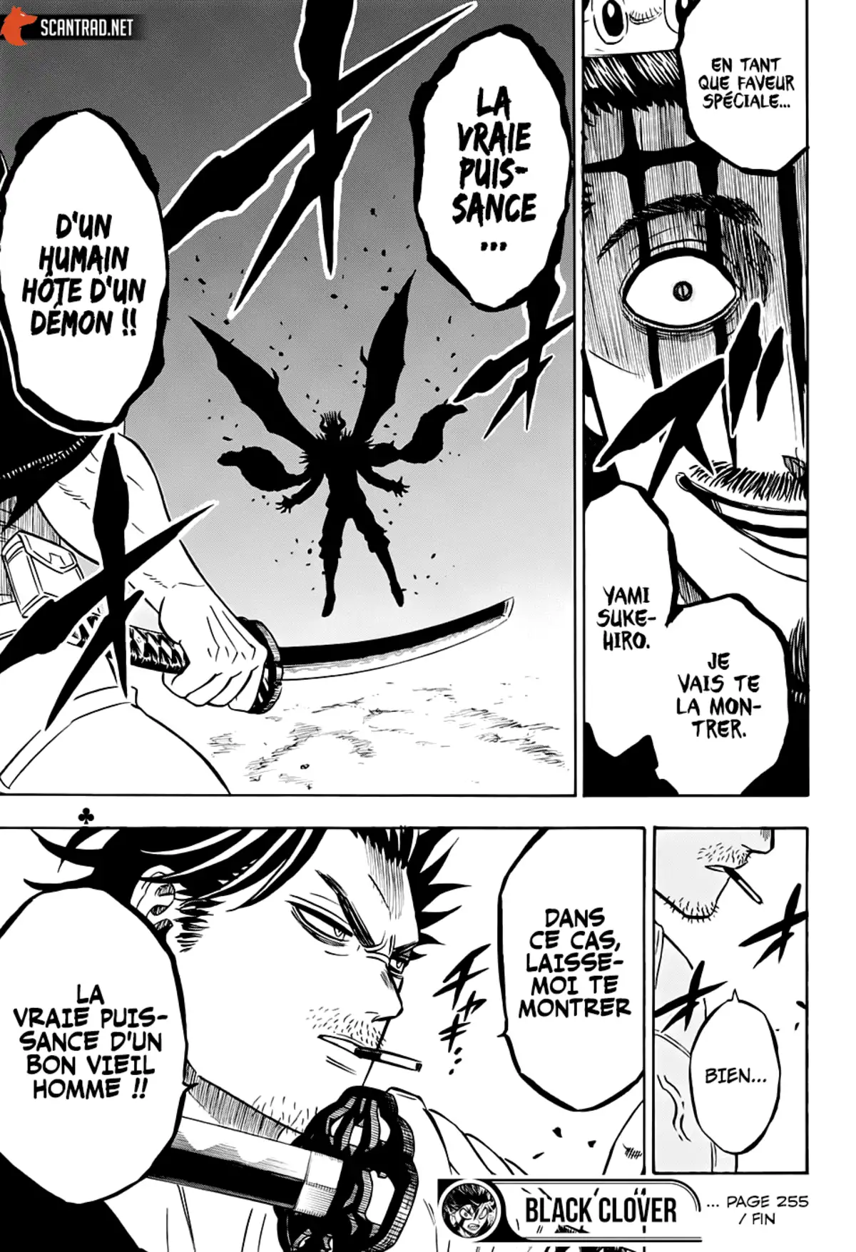 Black Clover Chapitre 255 page 14