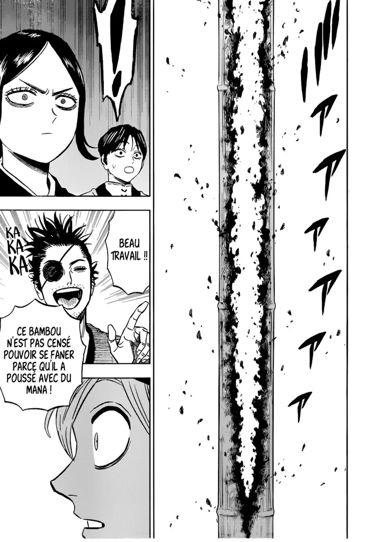 Black Clover Chapitre 339 page 15