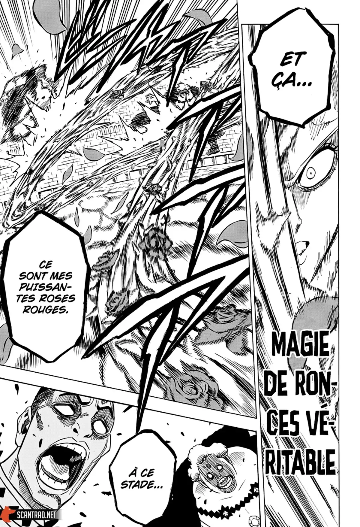 Black Clover Chapitre 277 page 12