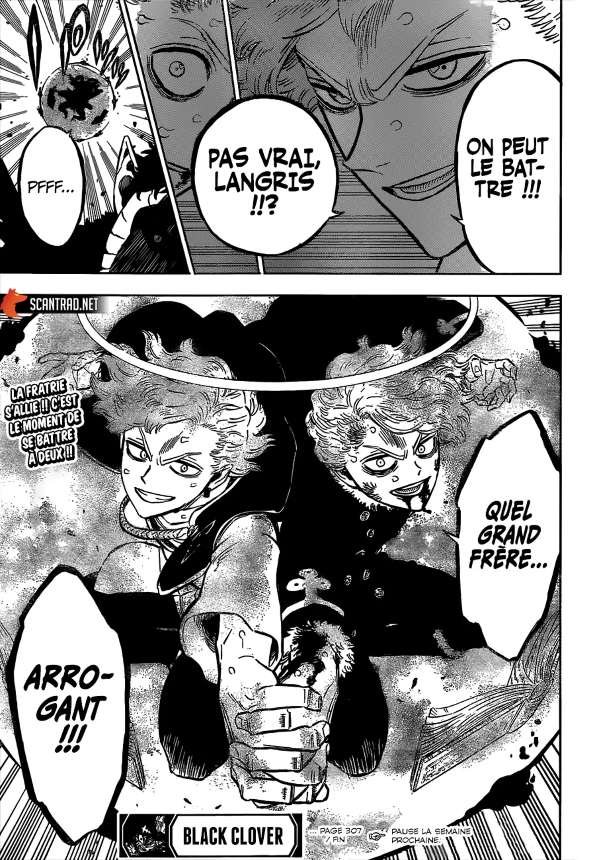 Black Clover Chapitre 307 page 13