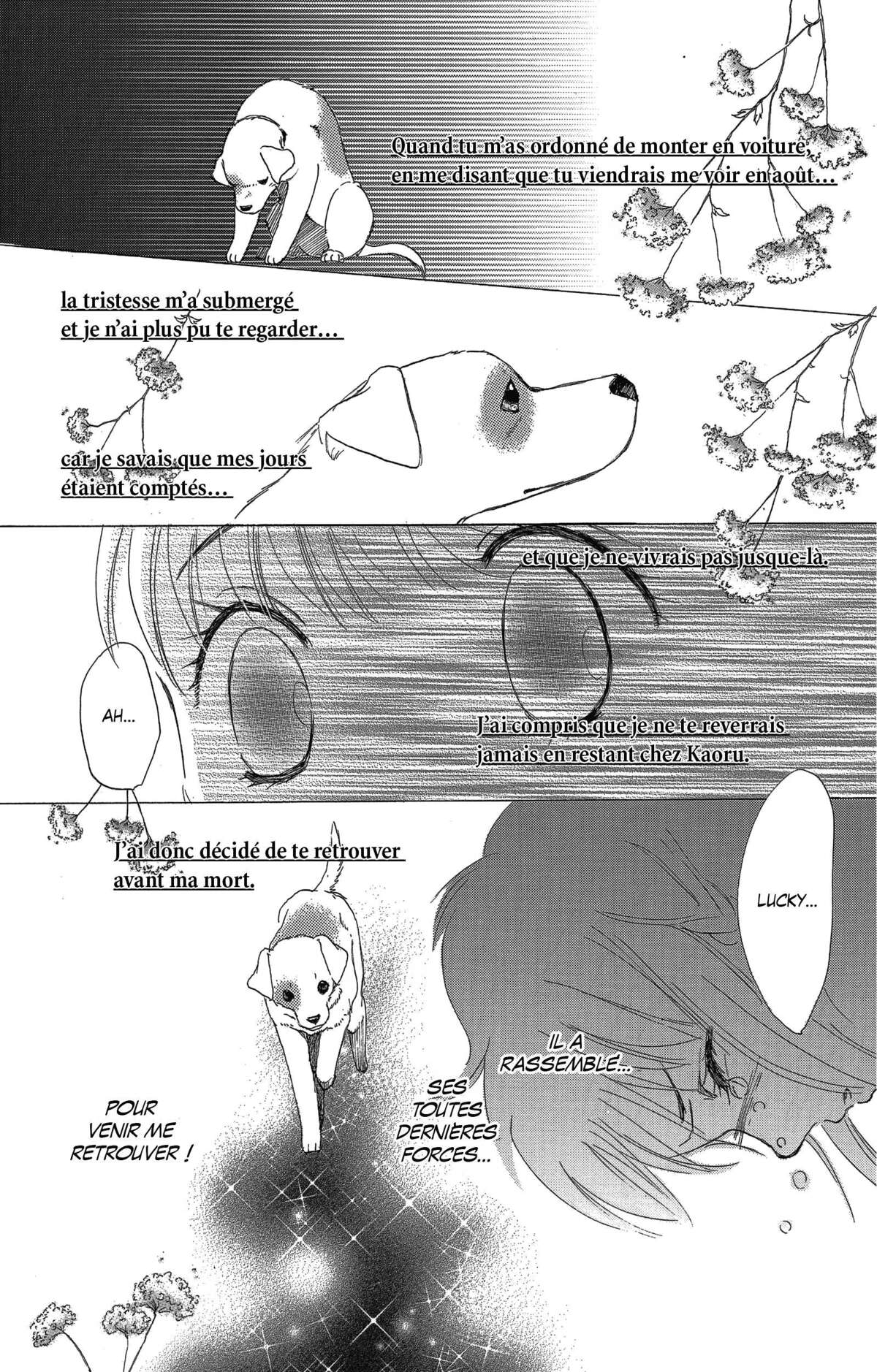 Le paradis des chiens Volume 2 page 66