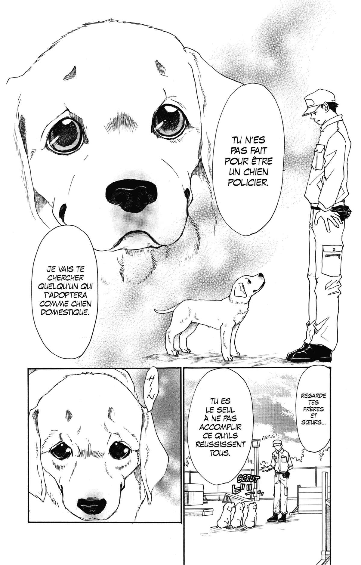 Le paradis des chiens Volume 10 page 5