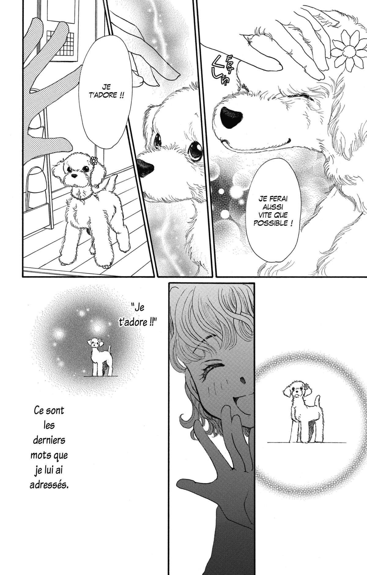 Le paradis des chiens Volume 4 page 52