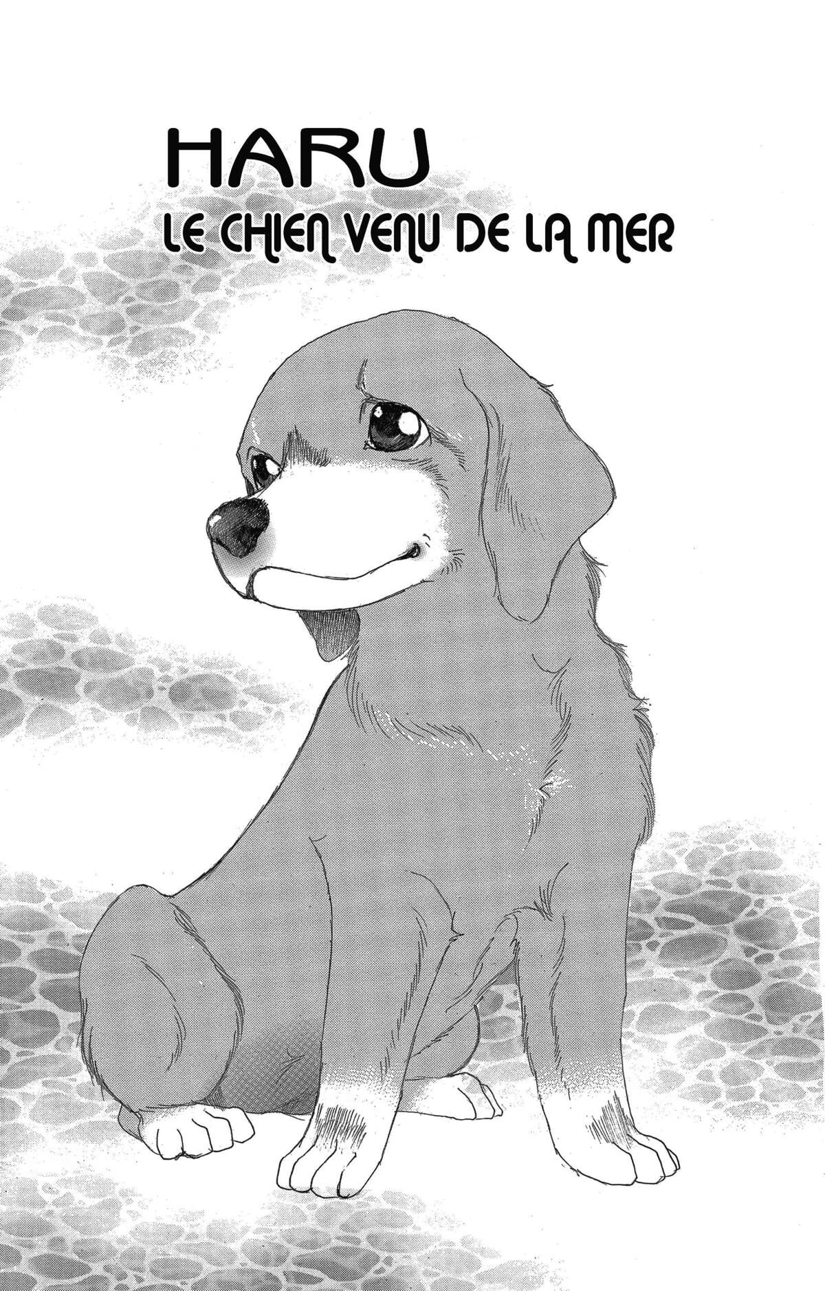 Le paradis des chiens Volume 6 page 101
