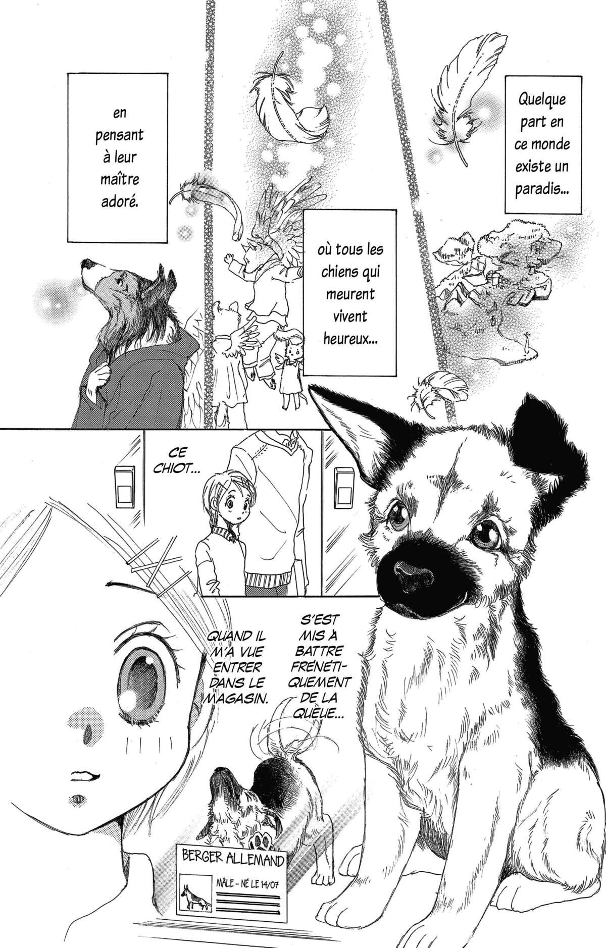 Le paradis des chiens Volume 6 page 38