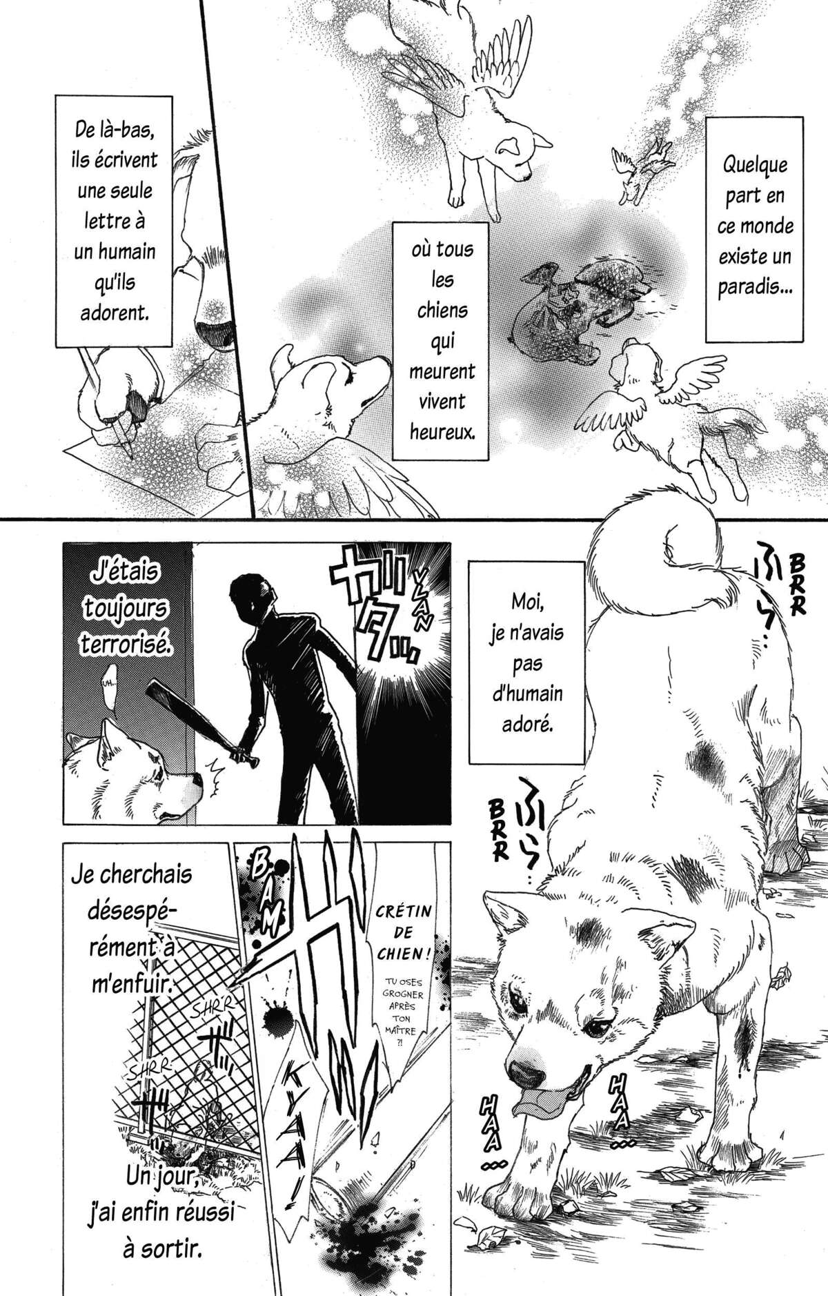 Le paradis des chiens Volume 9 page 70