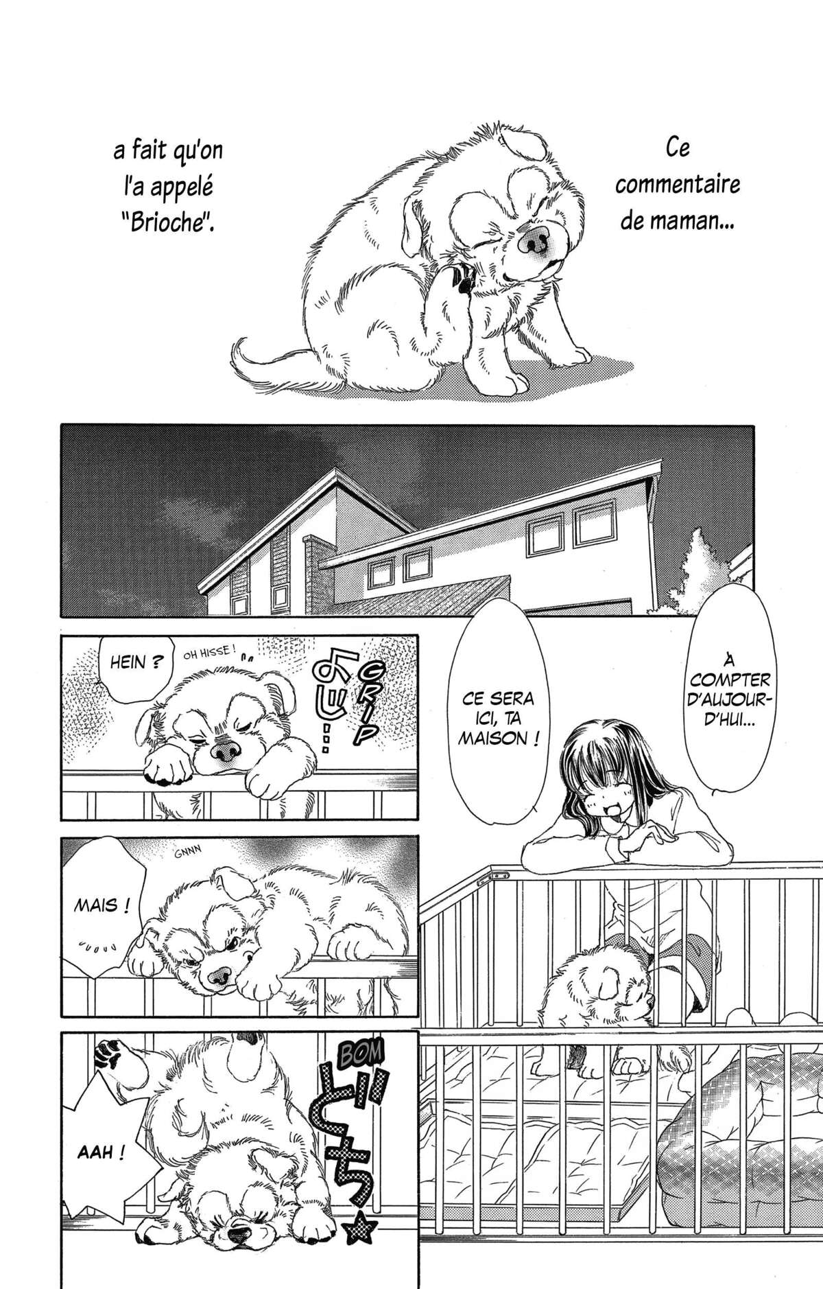 Le paradis des chiens Volume 8 page 74