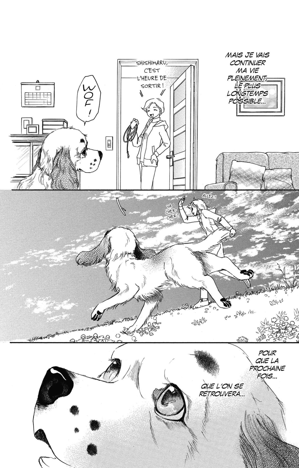 Le paradis des chiens Volume 11 page 34