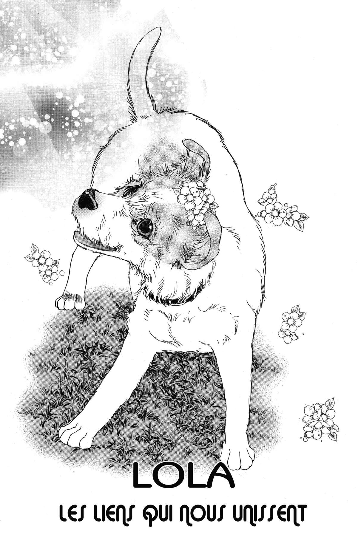 Le paradis des chiens Volume 11 page 37