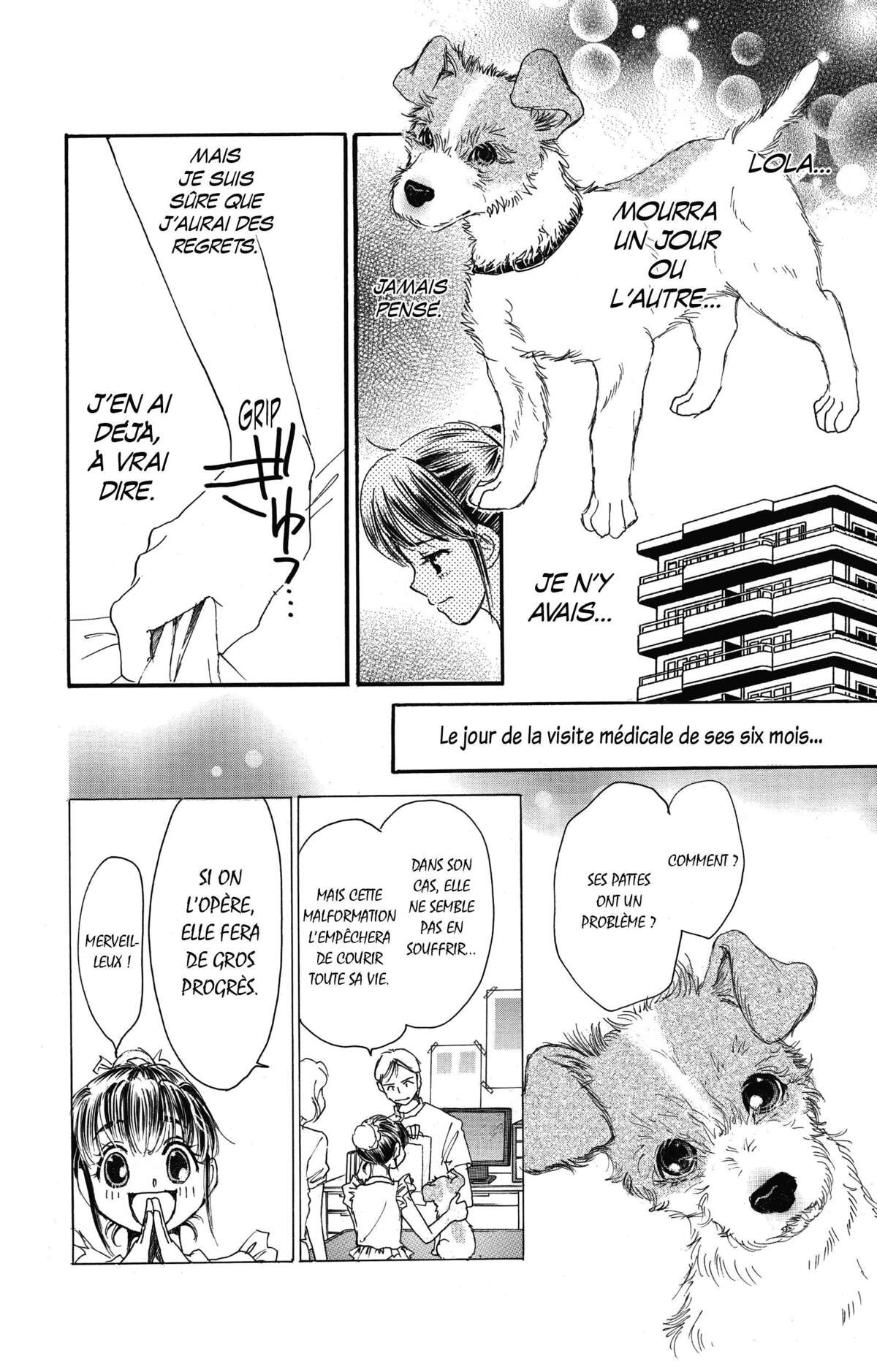 Le paradis des chiens Volume 11 page 48