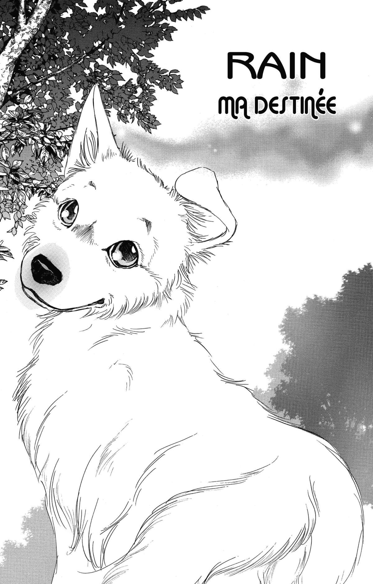 Le paradis des chiens Volume 11 page 69
