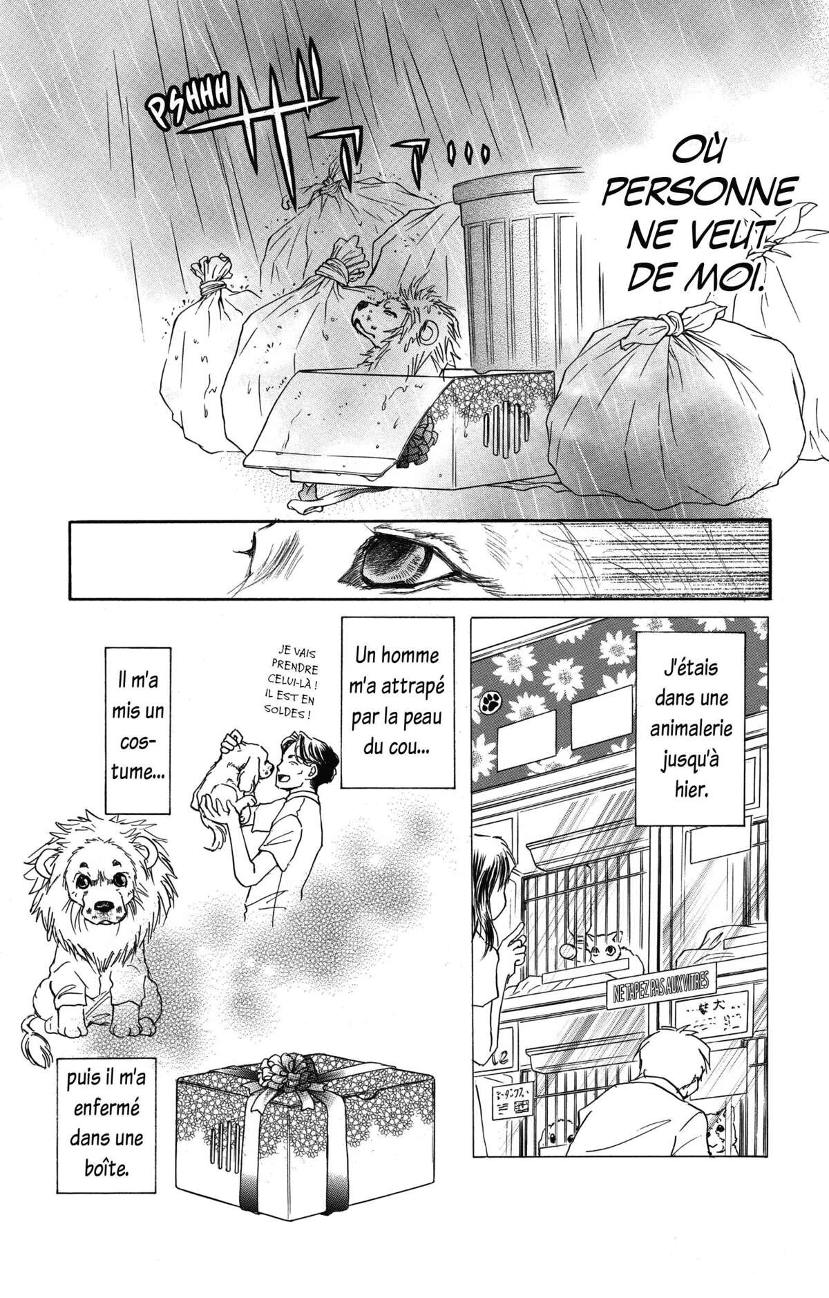 Le paradis des chiens Volume 11 page 7