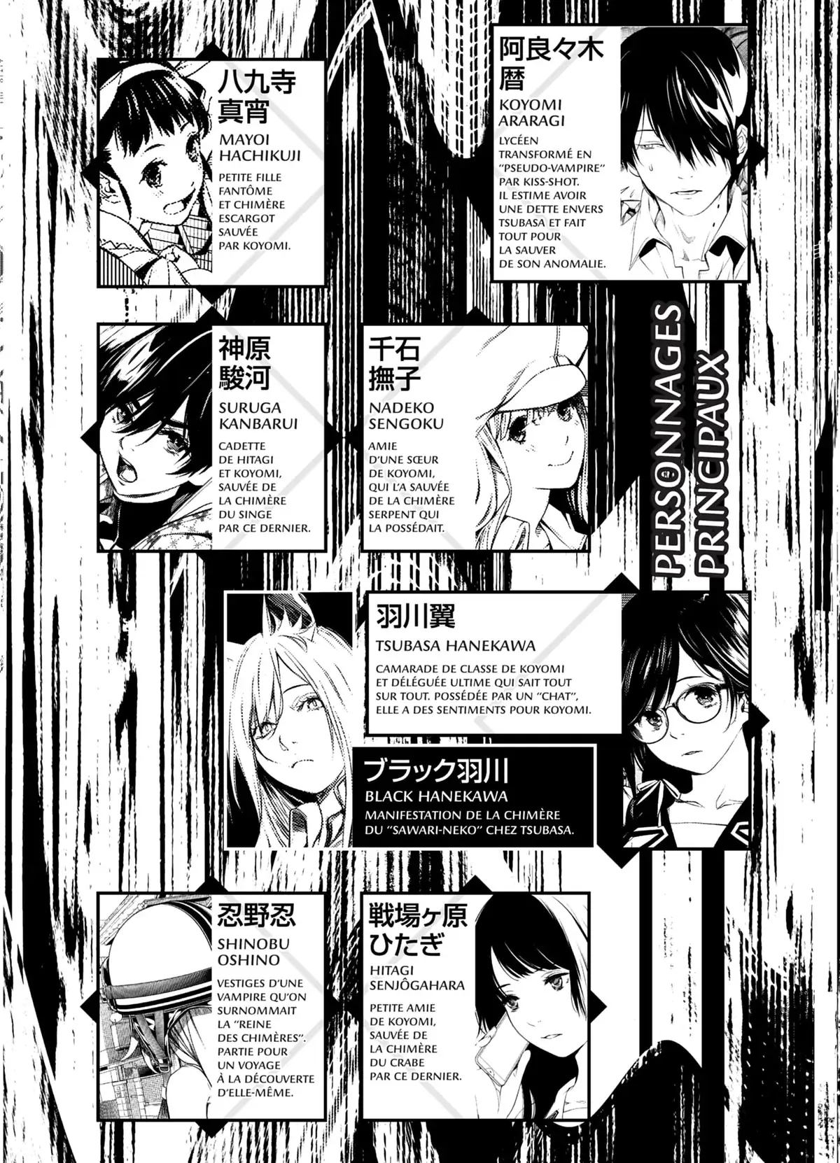 Bakemonogatari Volume 18 page 2