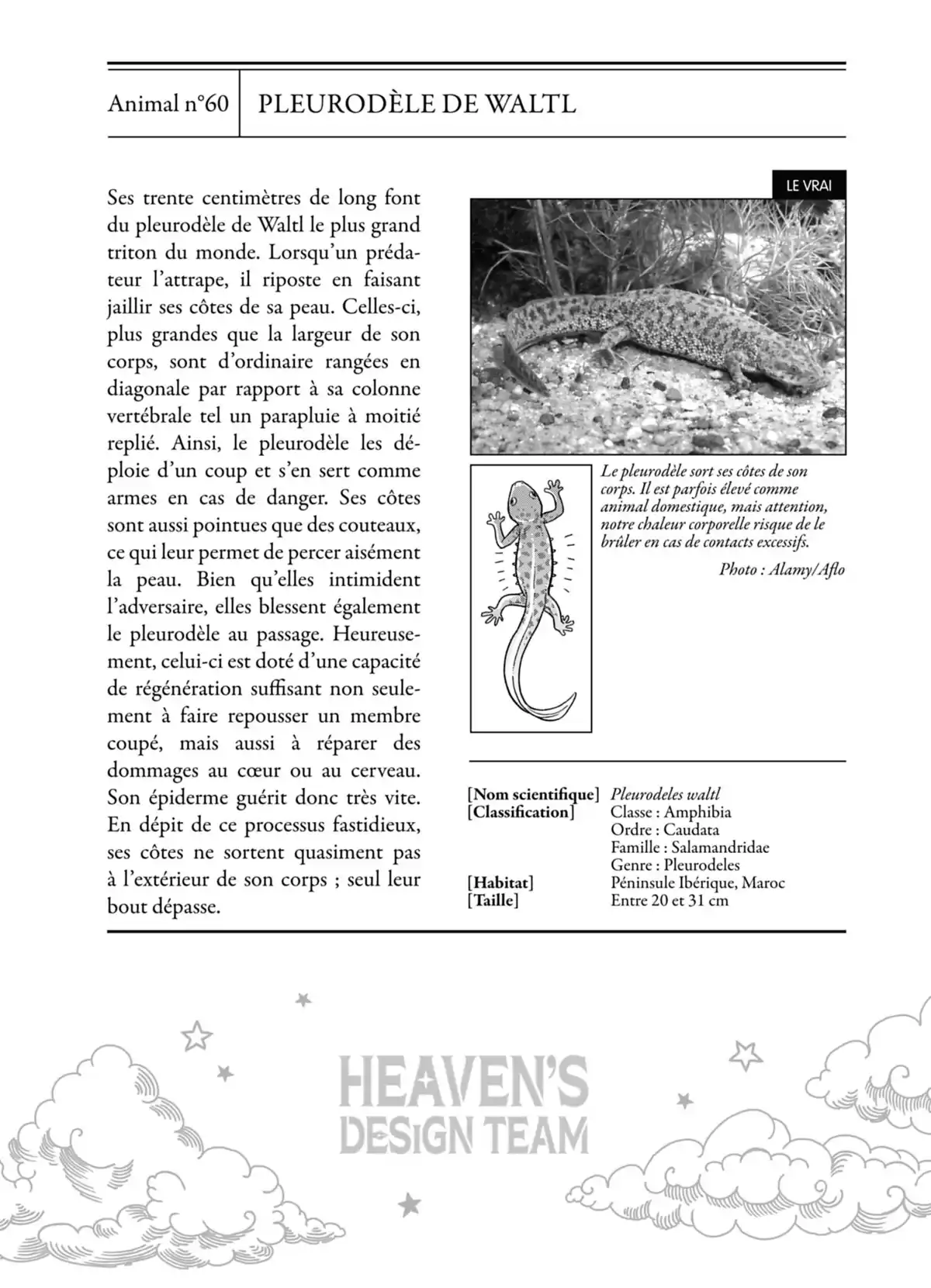Heaven’s Design Team Volume 4 page 41