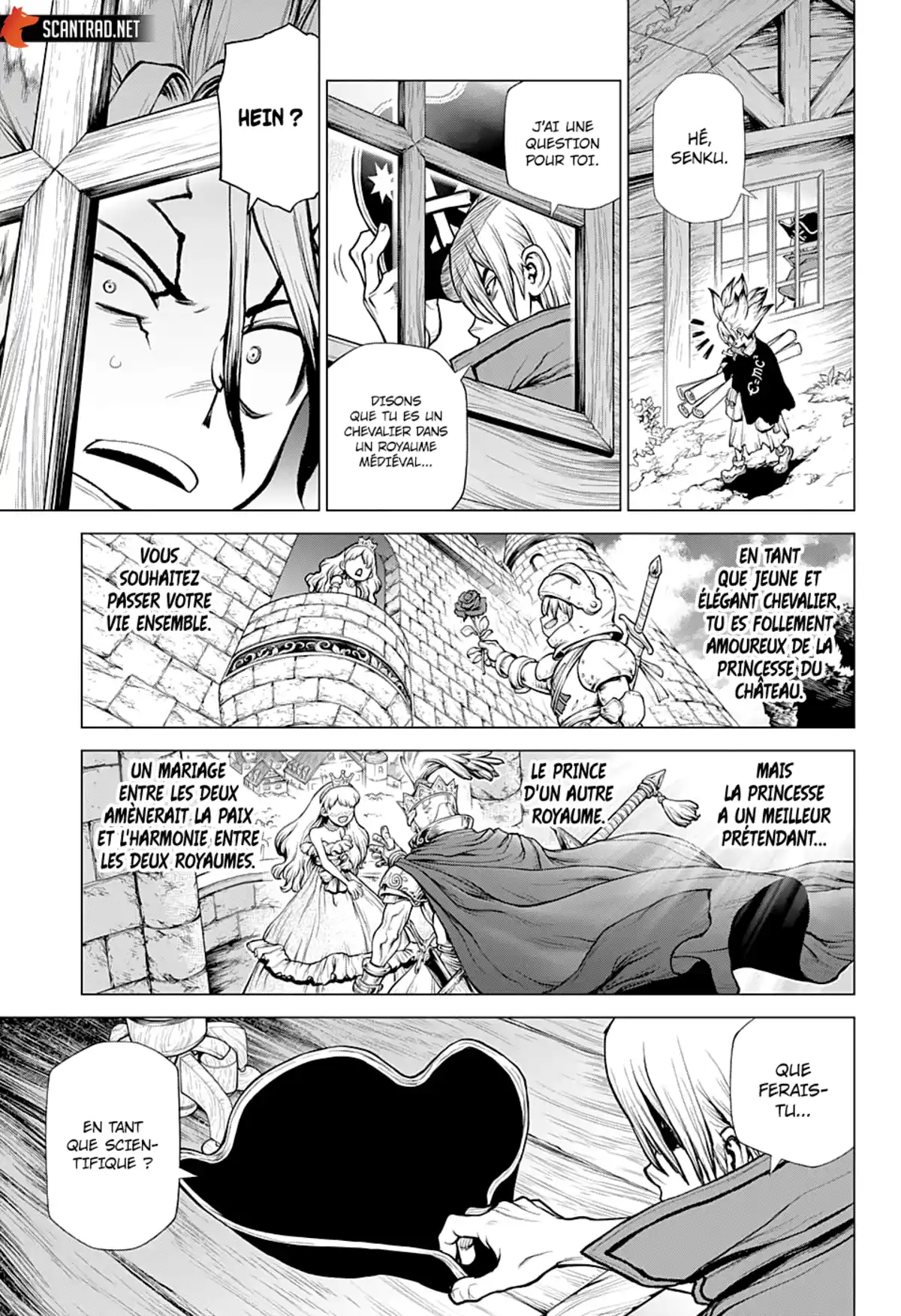 Dr. STONE Chapitre 221 page 3