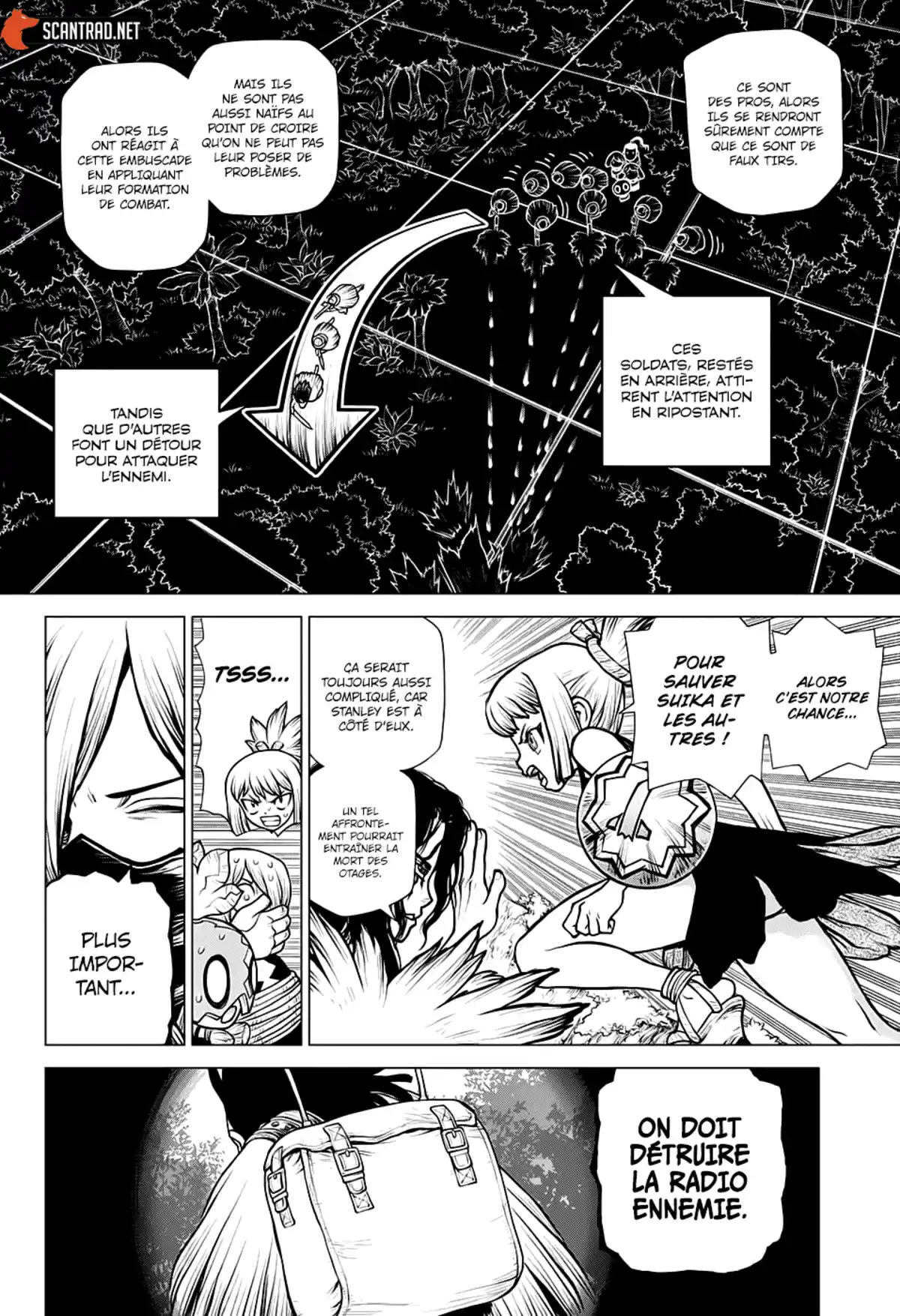 Dr. STONE Chapitre 187 page 9