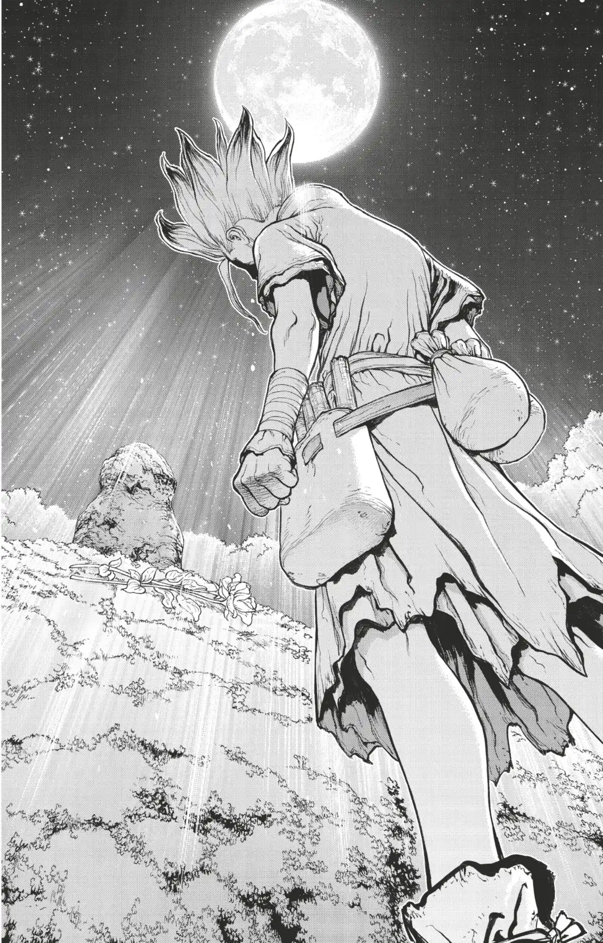 Dr. STONE Volume 6 page 41