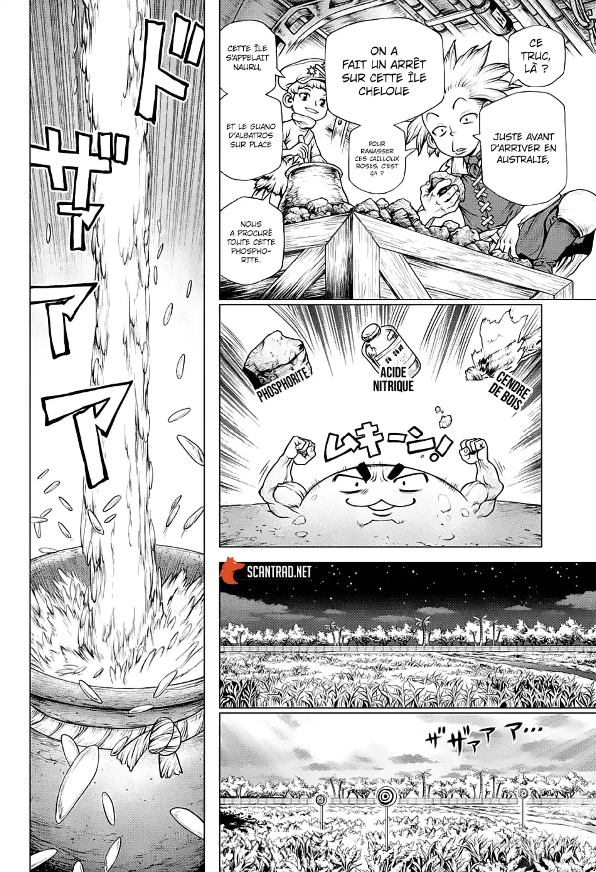 Dr. STONE Chapitre 211 page 11