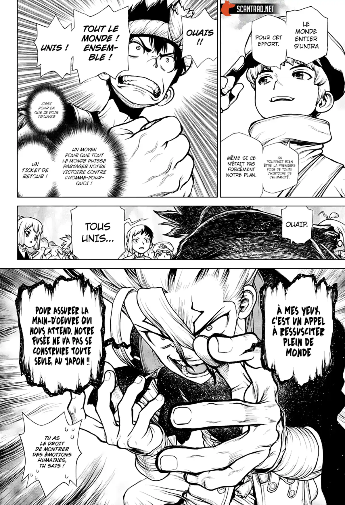 Dr. STONE Chapitre 211 page 5