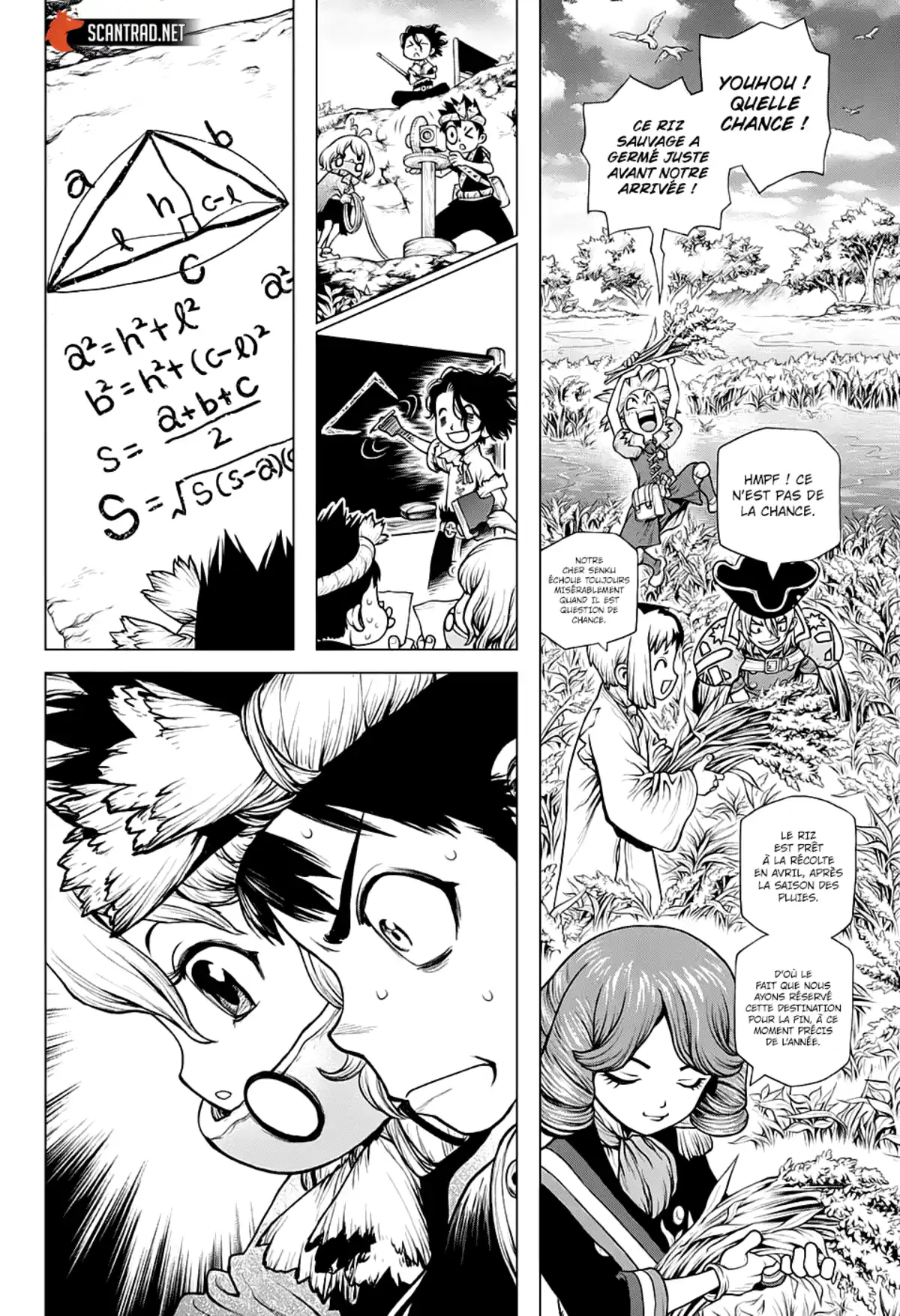 Dr. STONE Chapitre 211 page 8