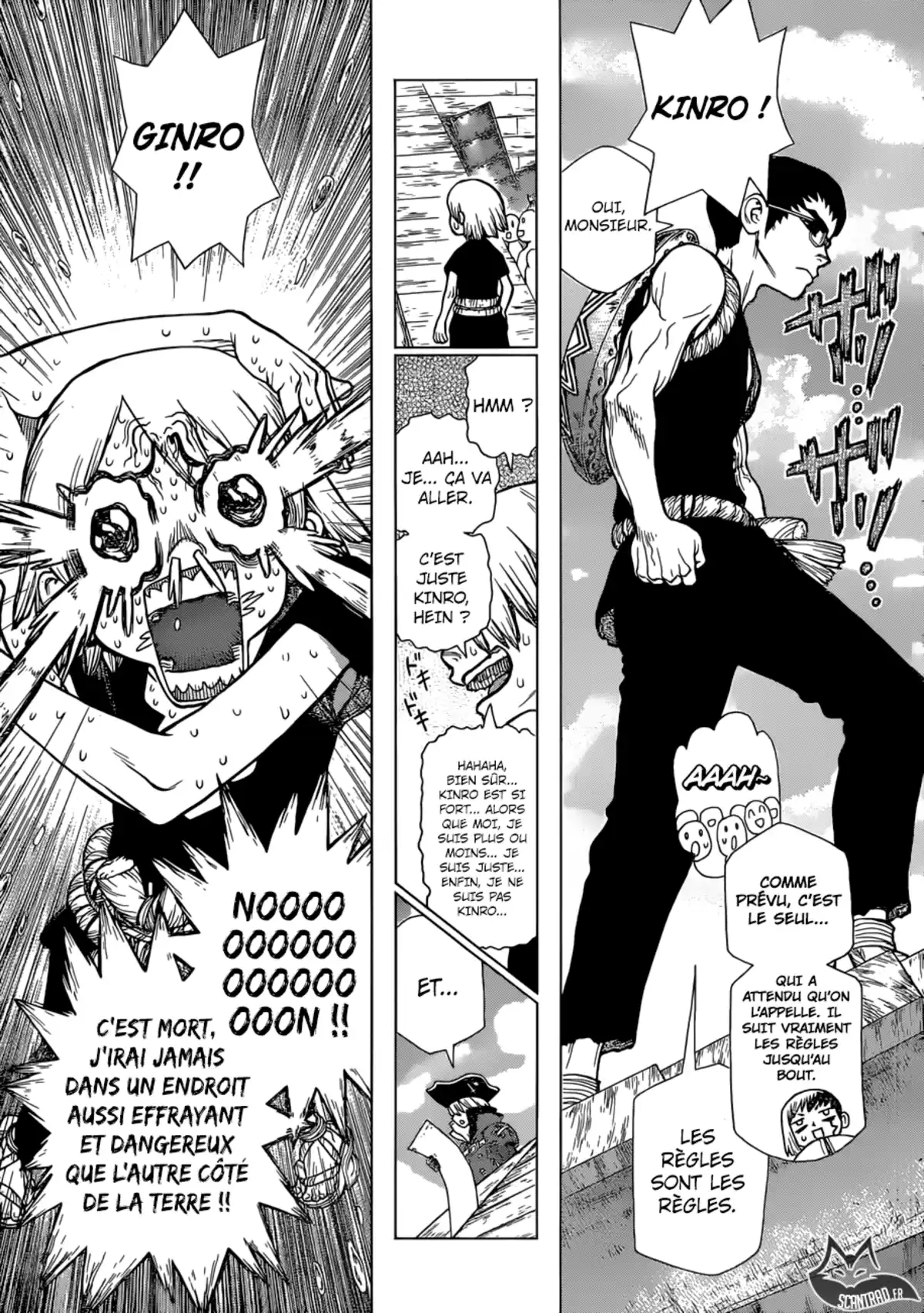 Dr. STONE Volume 12 page 46