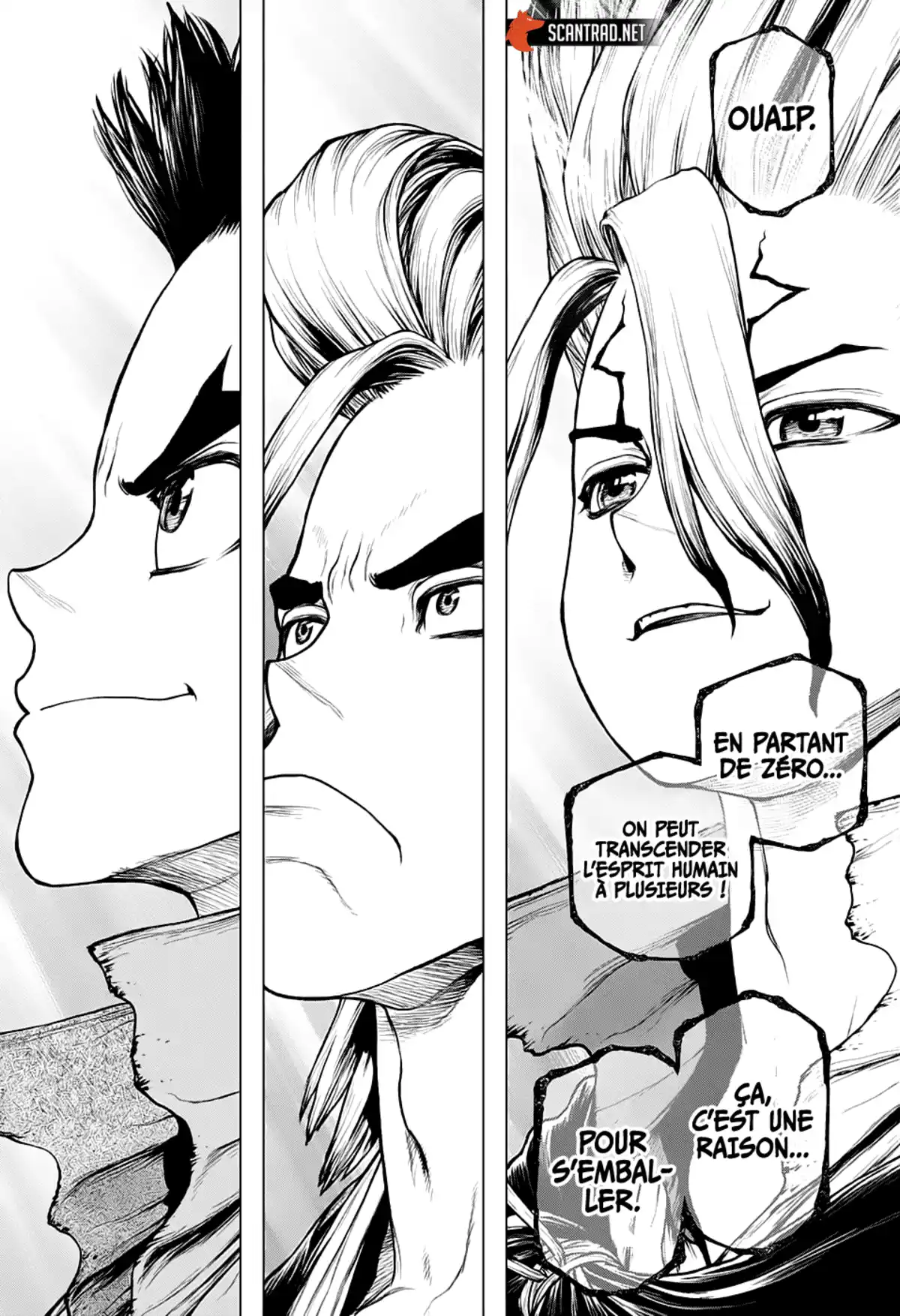 Dr. STONE Chapitre 208 page 16