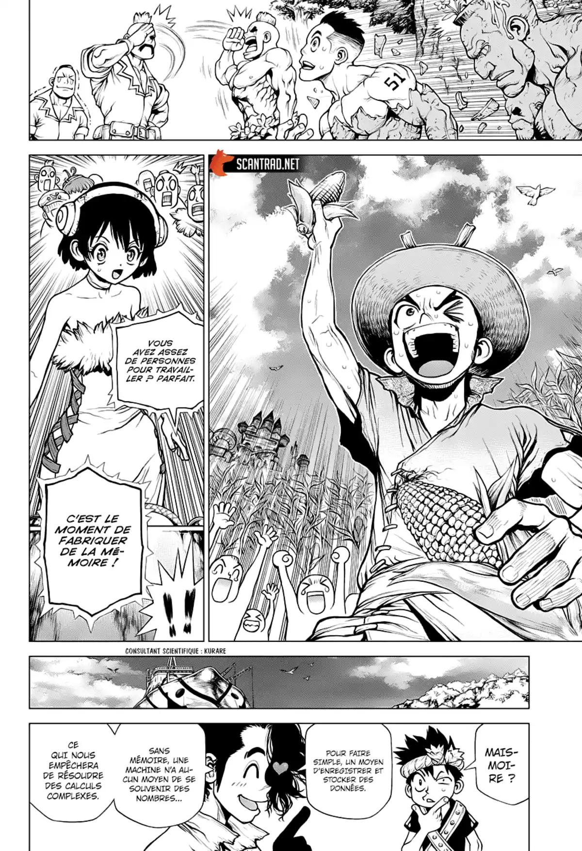 Dr. STONE Chapitre 208 page 4