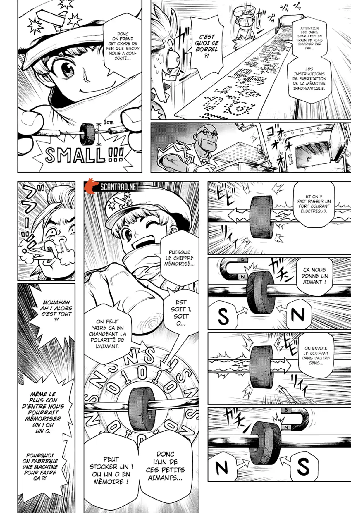 Dr. STONE Chapitre 208 page 6