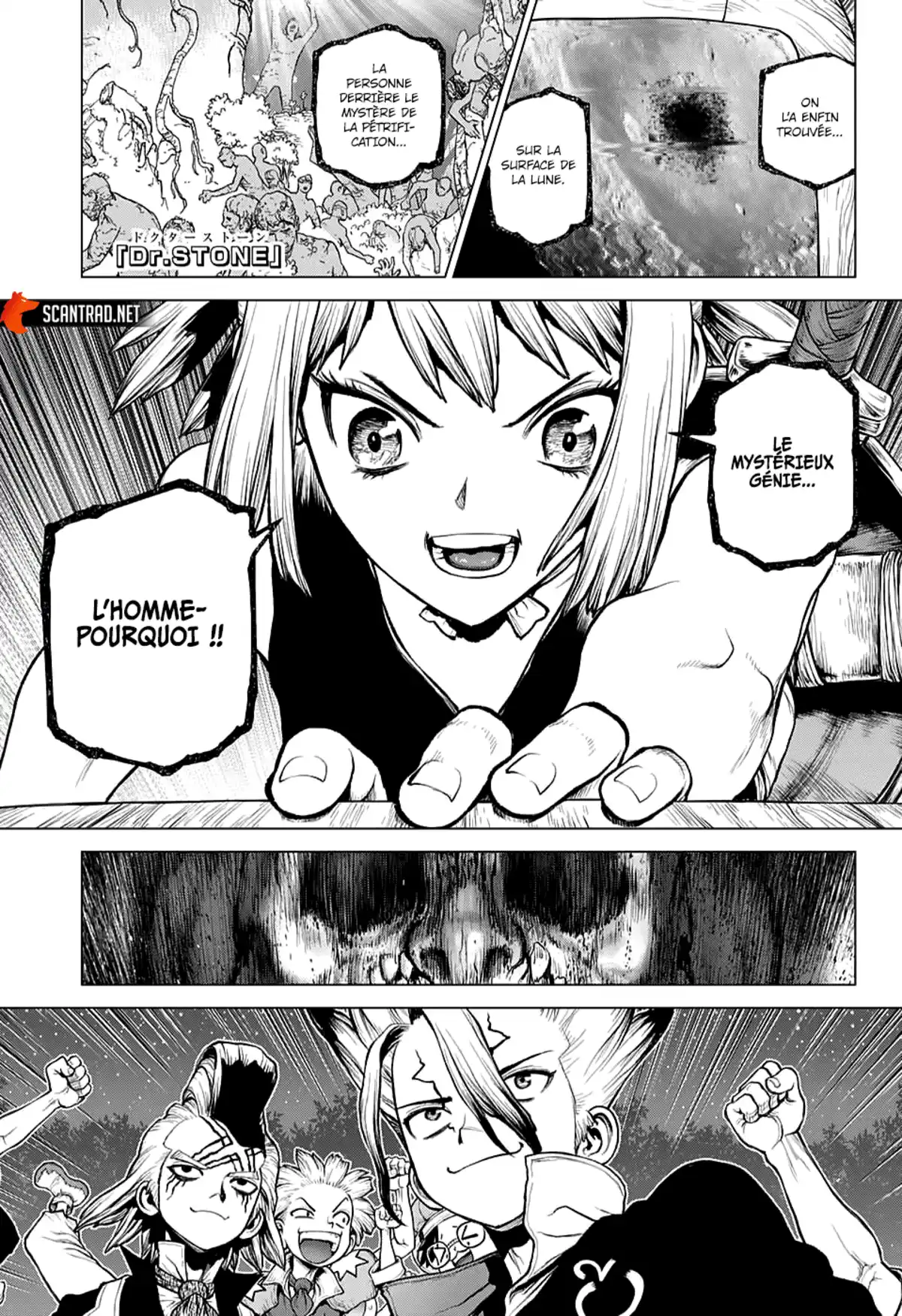 Dr. STONE Chapitre 217 page 1