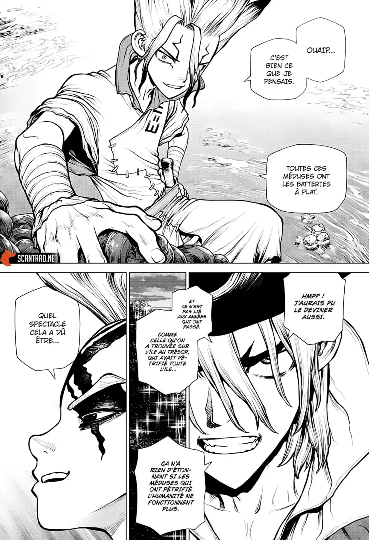 Dr. STONE Chapitre 181 page 6