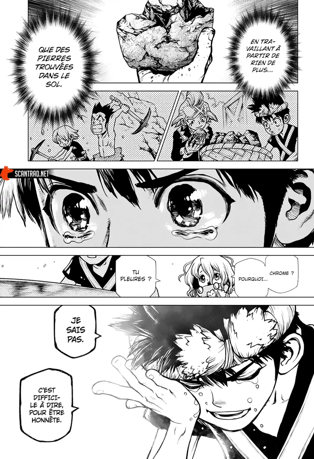 Dr. STONE Chapitre 200 page 15