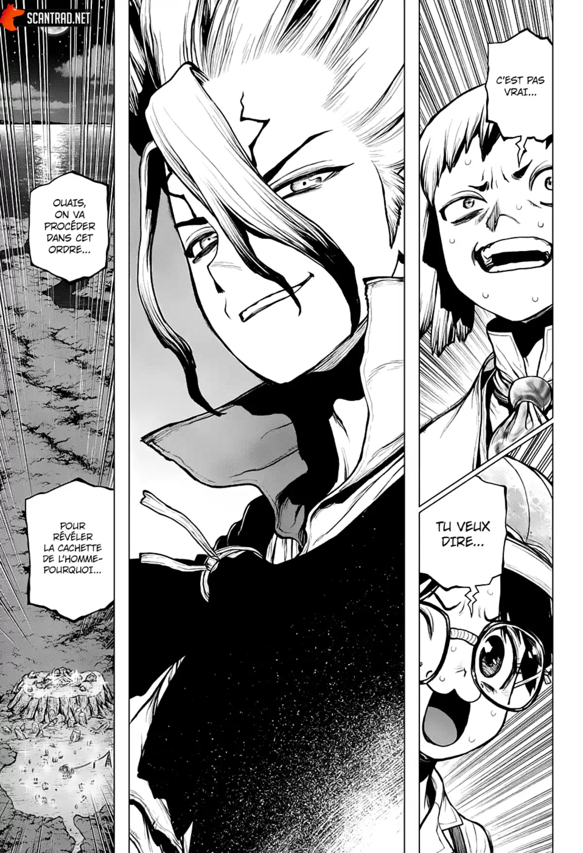 Dr. STONE Chapitre 214 page 17