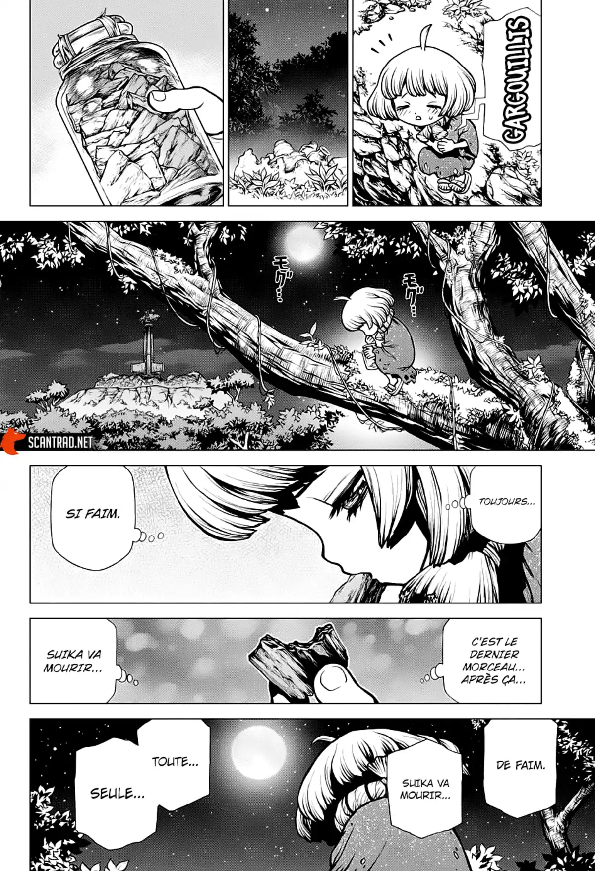 Dr. STONE Chapitre 194 page 11