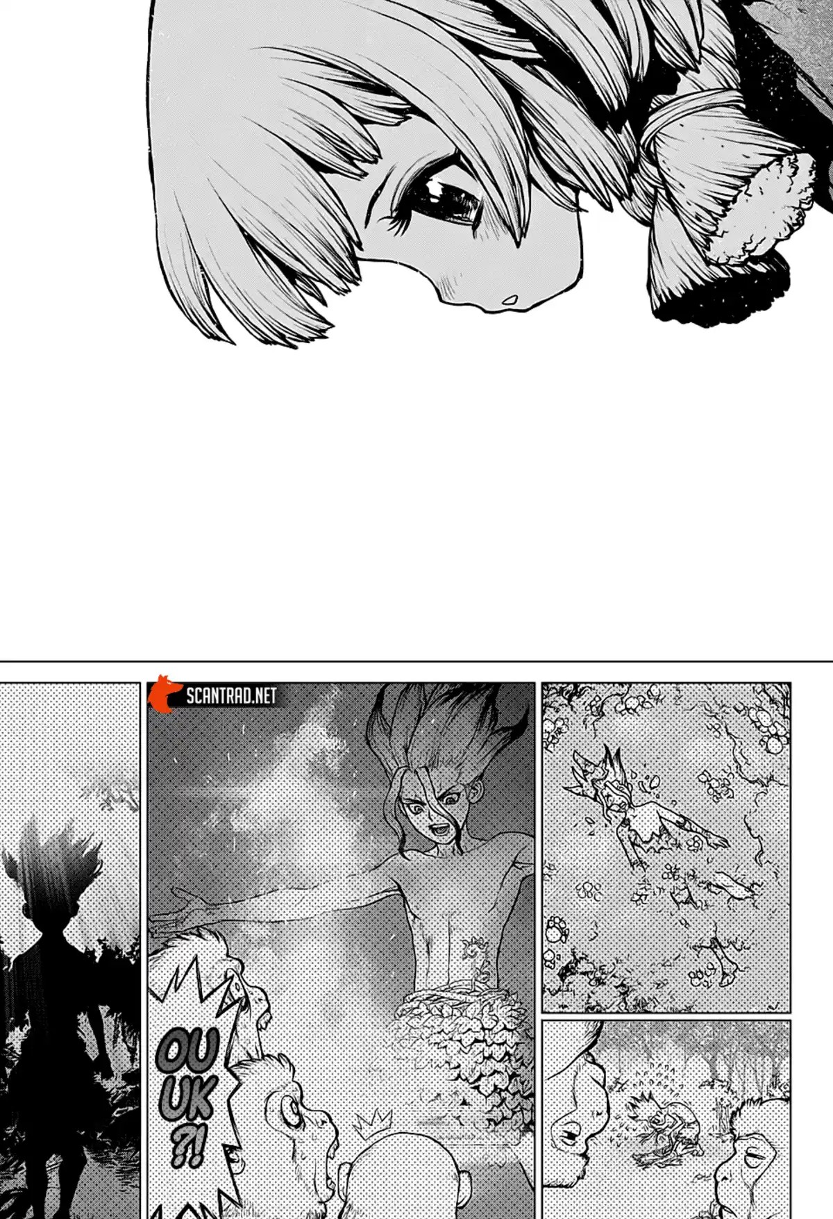 Dr. STONE Chapitre 194 page 14