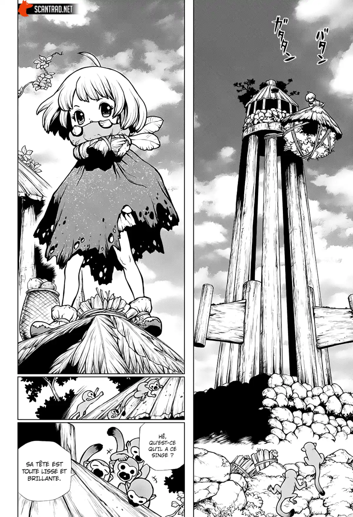 Dr. STONE Chapitre 194 page 17