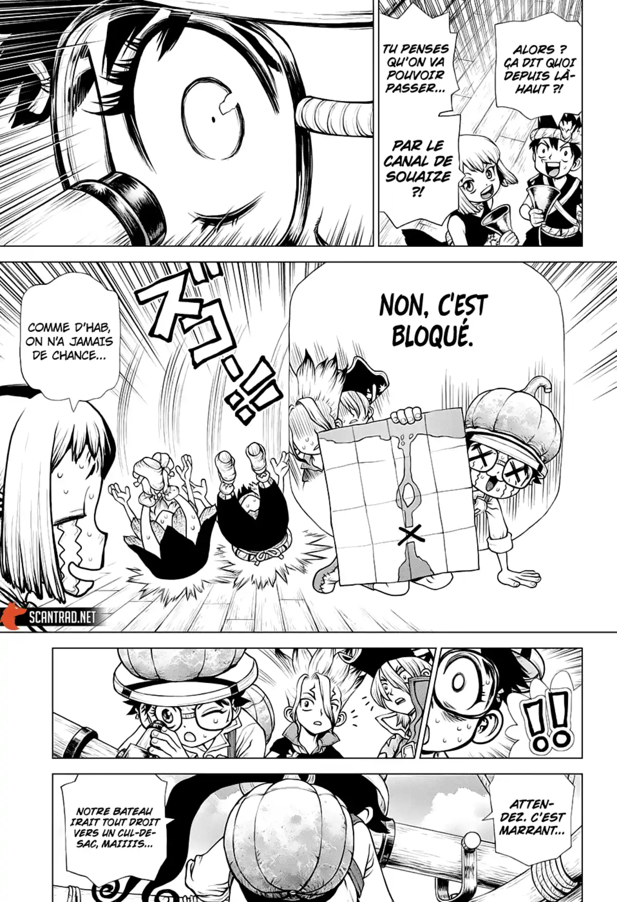 Dr. STONE Chapitre 203 page 11