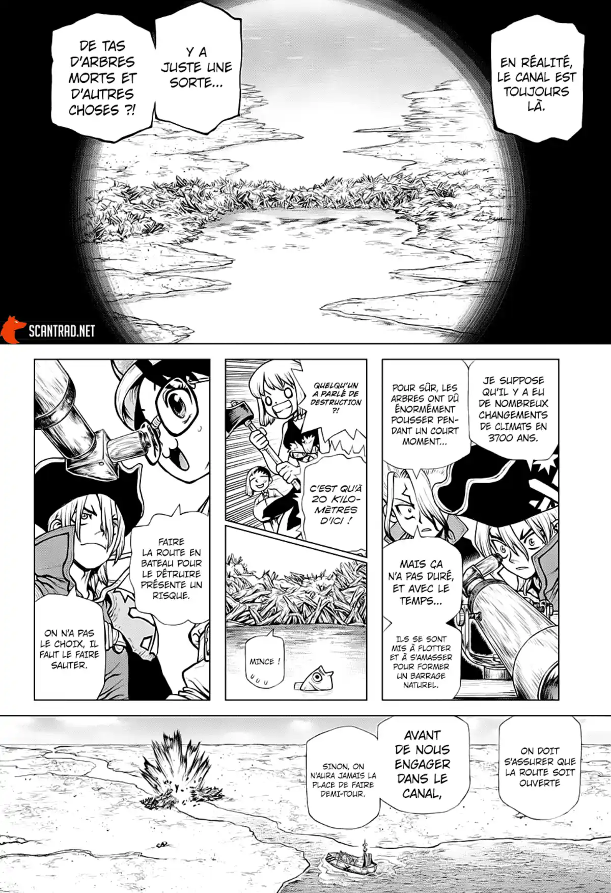 Dr. STONE Chapitre 203 page 12