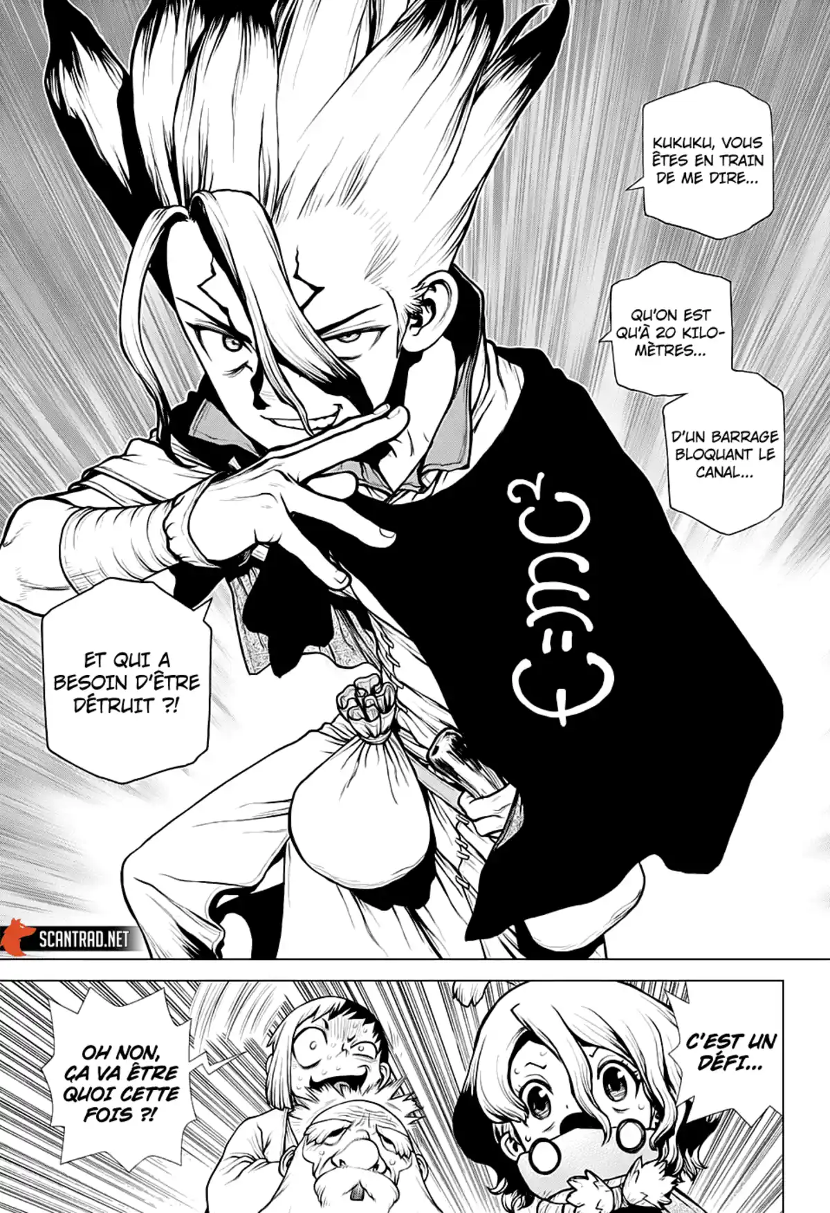 Dr. STONE Chapitre 203 page 13