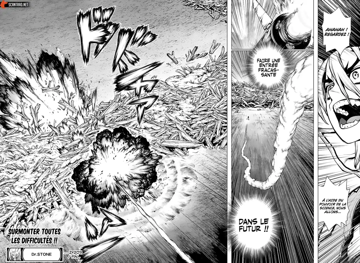 Dr. STONE Chapitre 203 page 18
